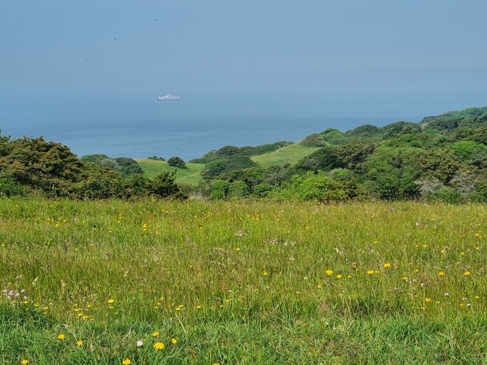 "Miona" - 725m from the sea - Buiten