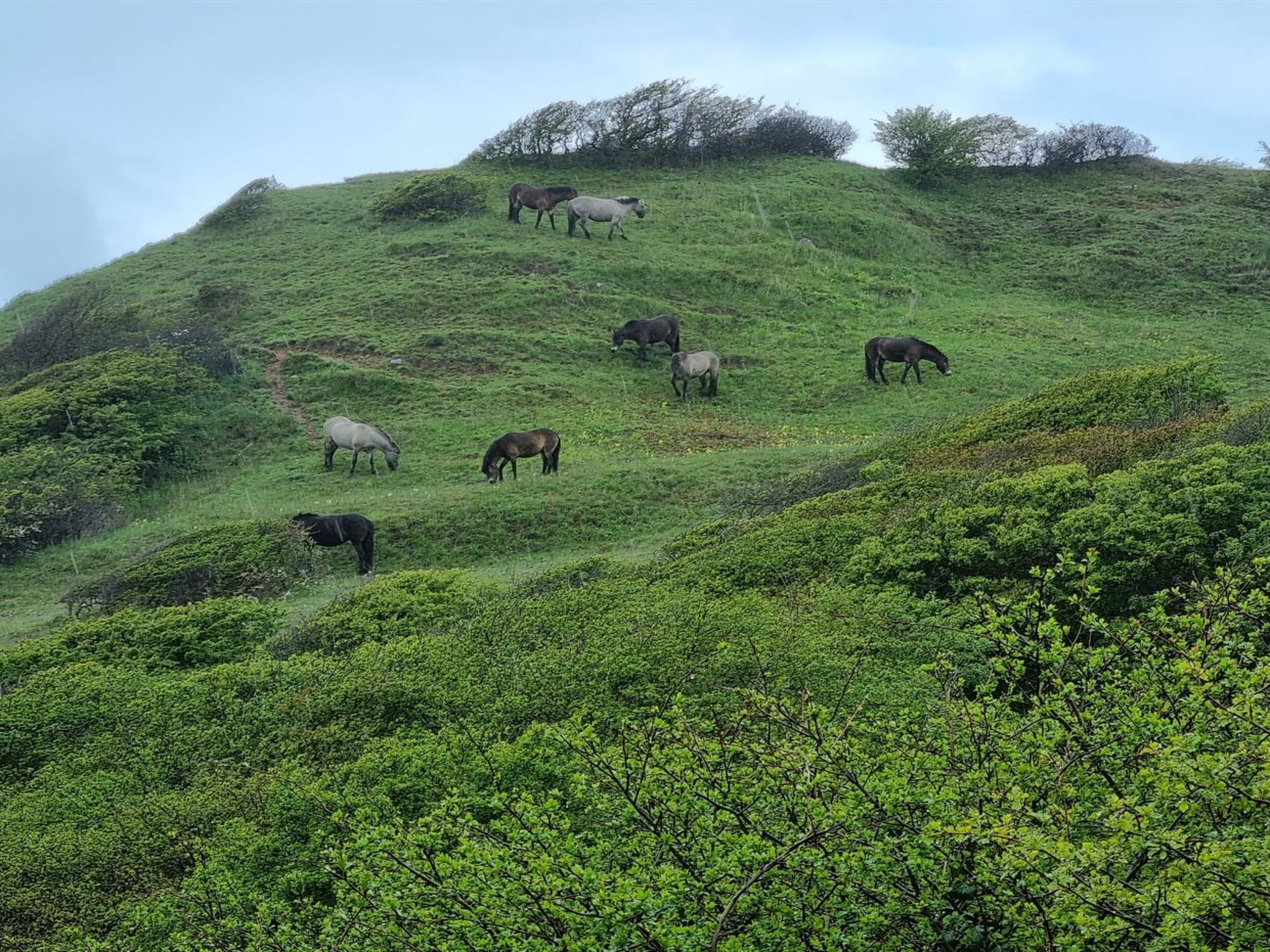 "Miona" - 725m from the sea - Buiten
