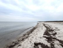 Antonina: Vakantiehuis op 225 meter van de Deense kust in Store Fuglede - thumbnail 4