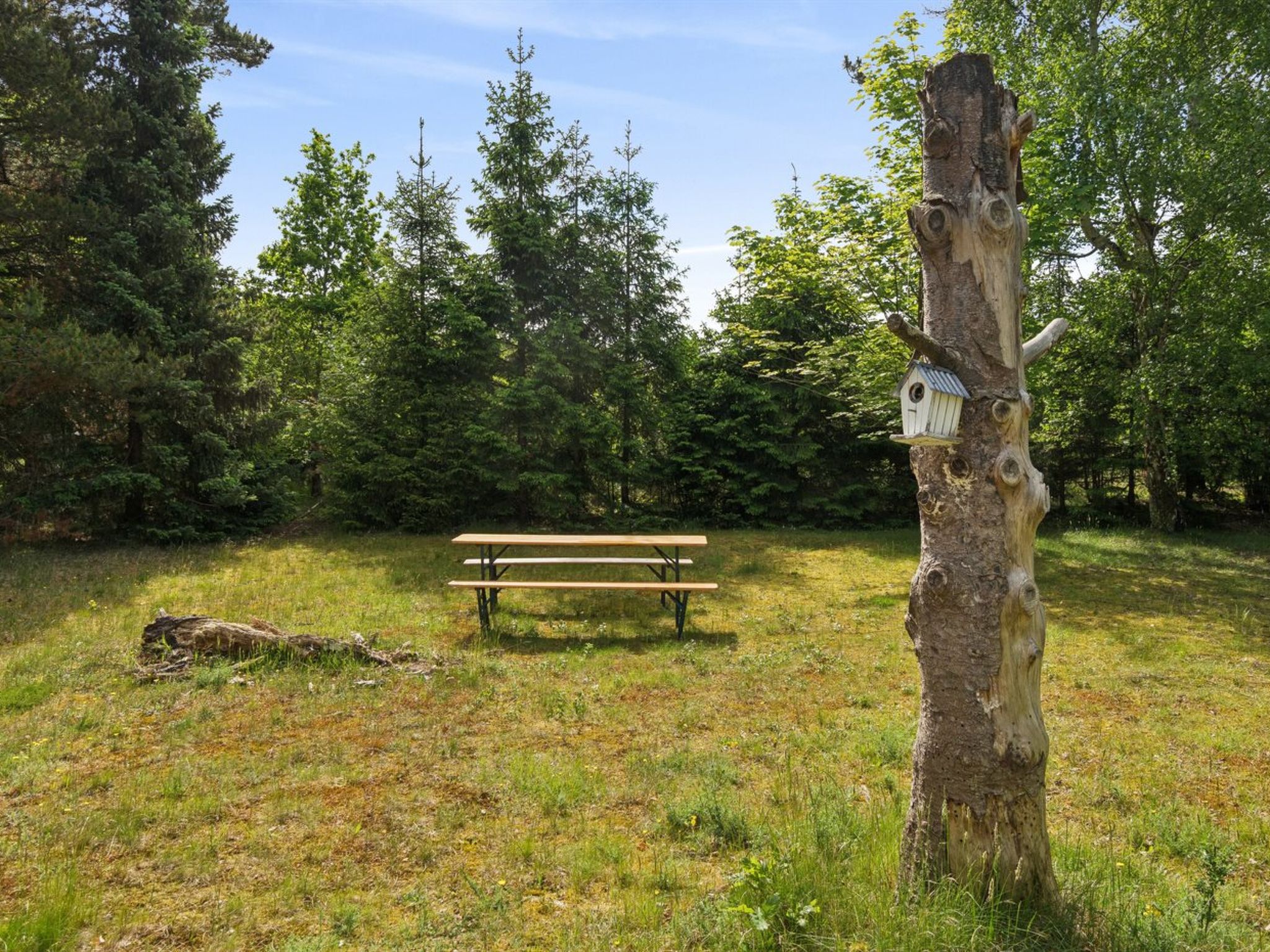 "Rietrikki" - 1.5km from the sea - Draußen