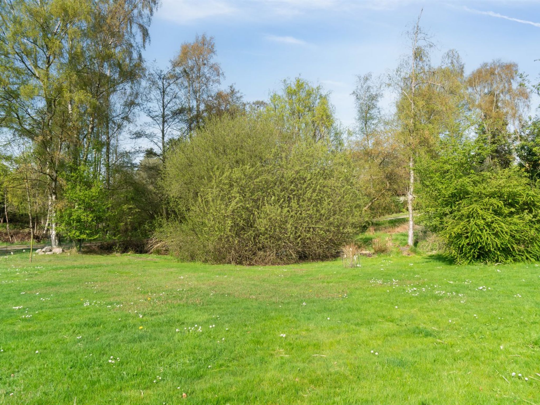 "Bassi" - 650m from the sea-Buiten