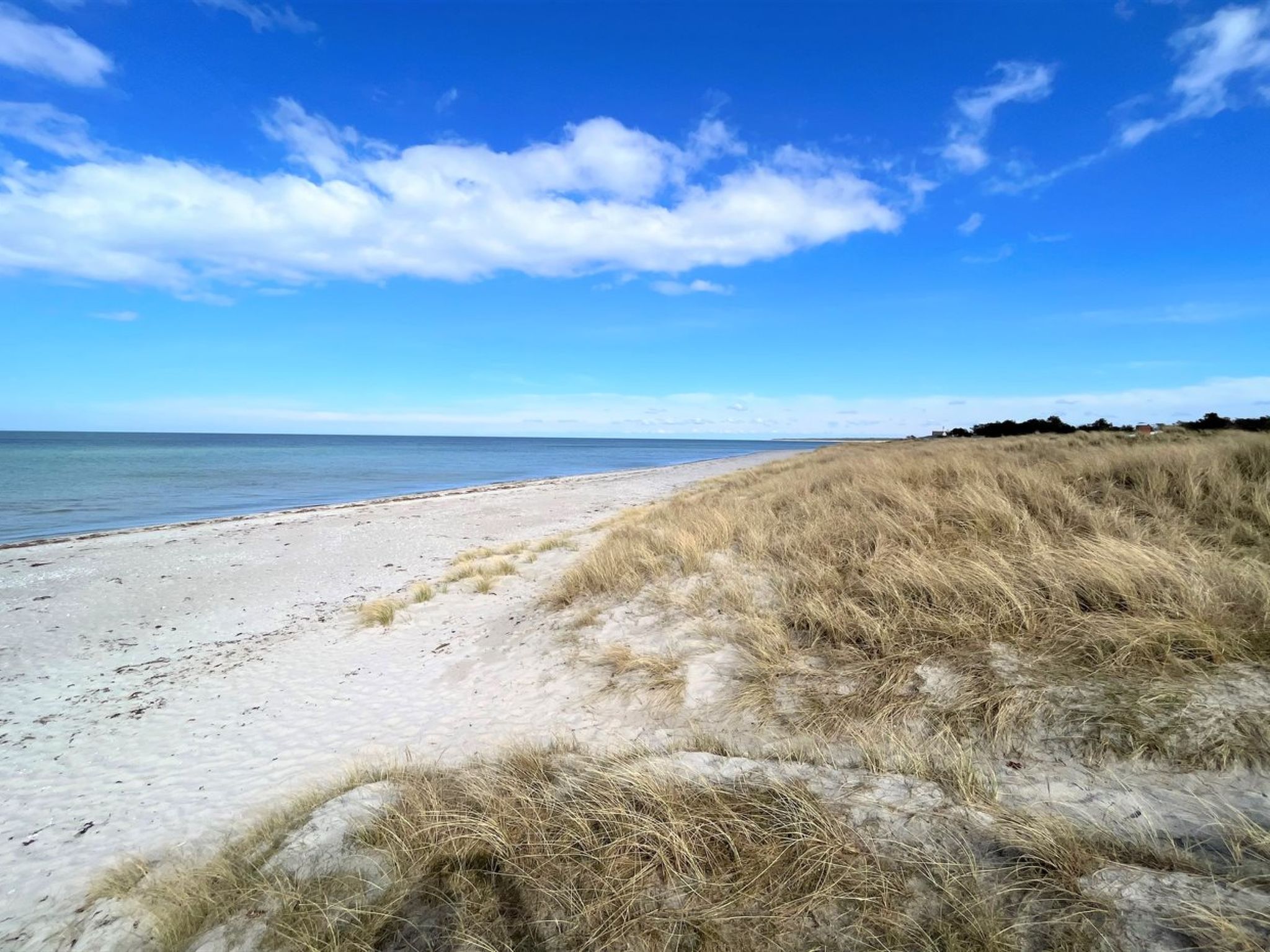 "Miljanka" - 175m from the sea - Dehors