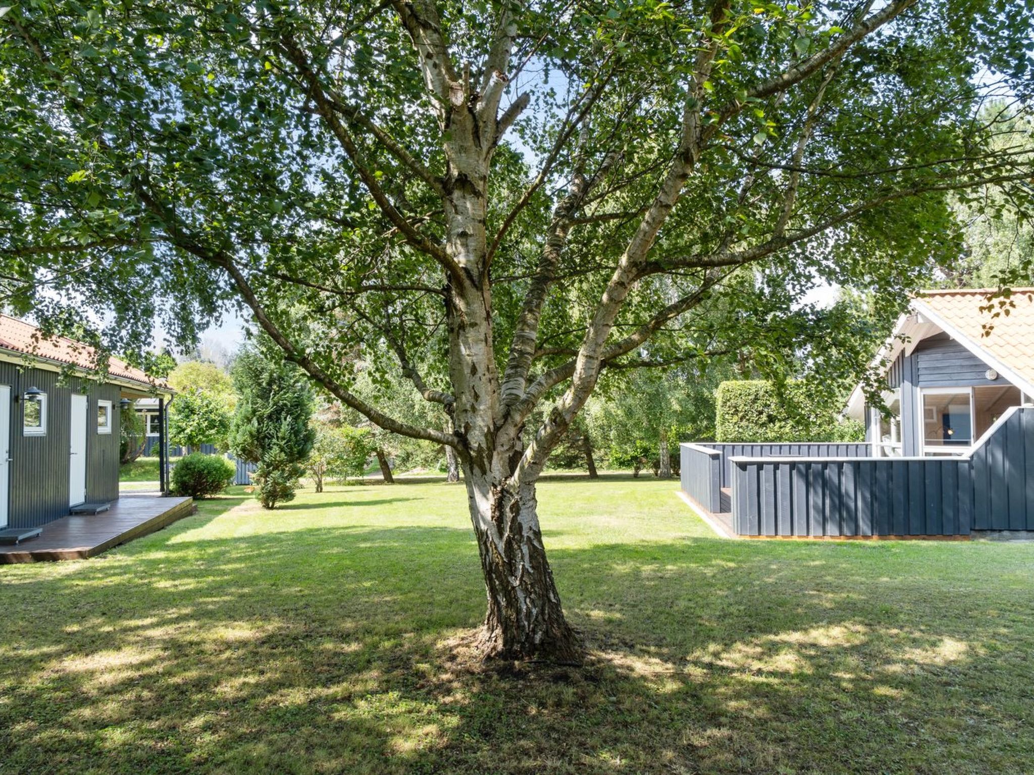 "Dorti" - 725m from the sea - Buiten