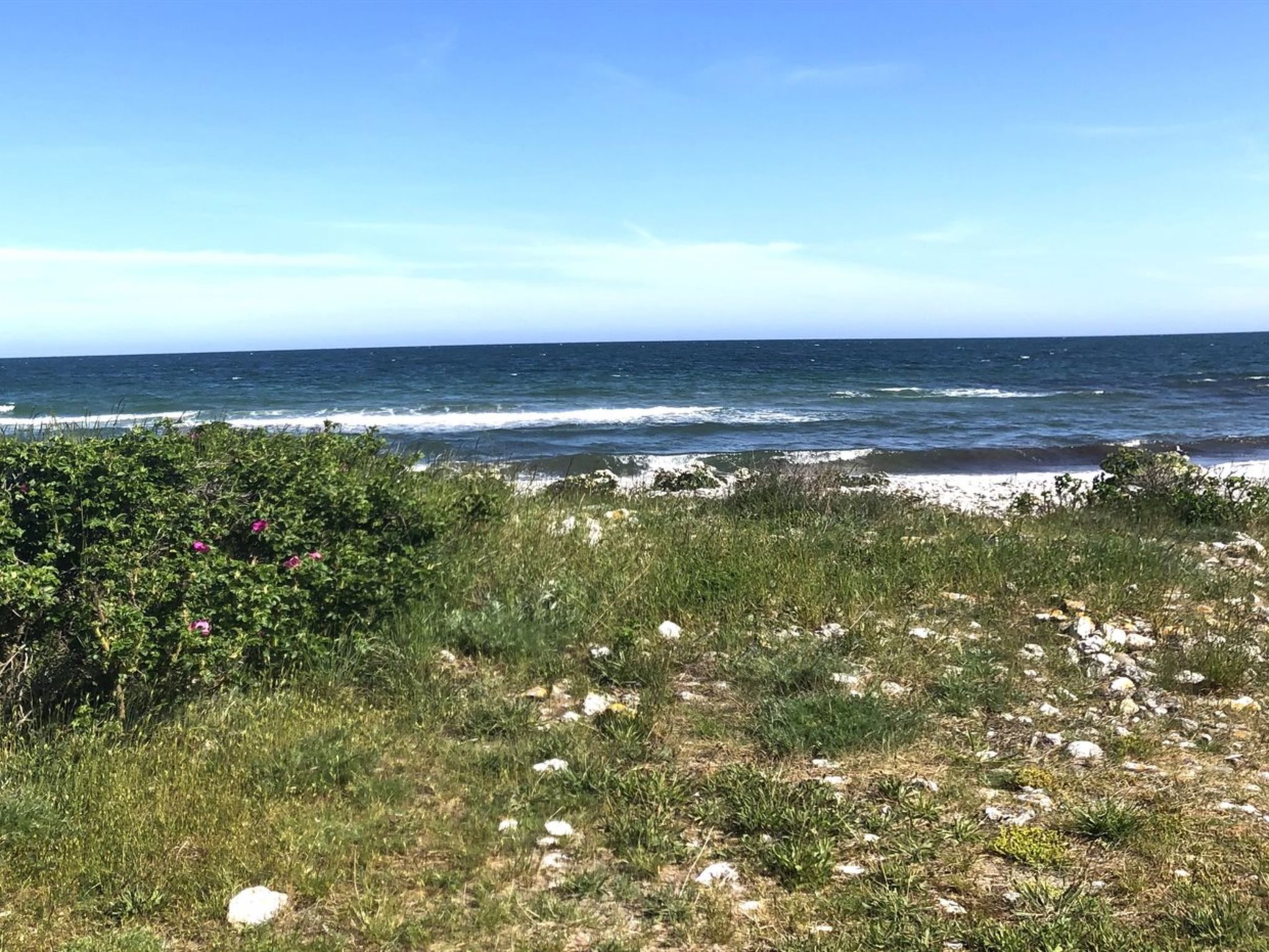 "Tuulikki" - 100m from the sea - Buiten