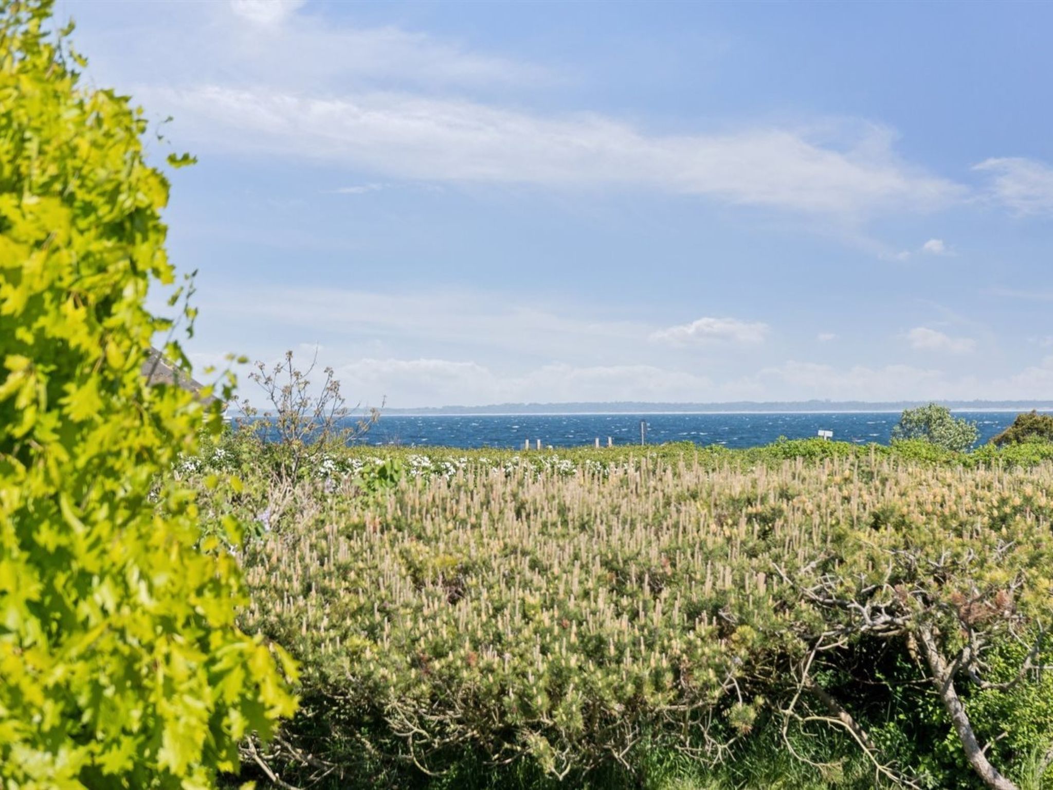 "Sukie" - 100m from the sea - Outside