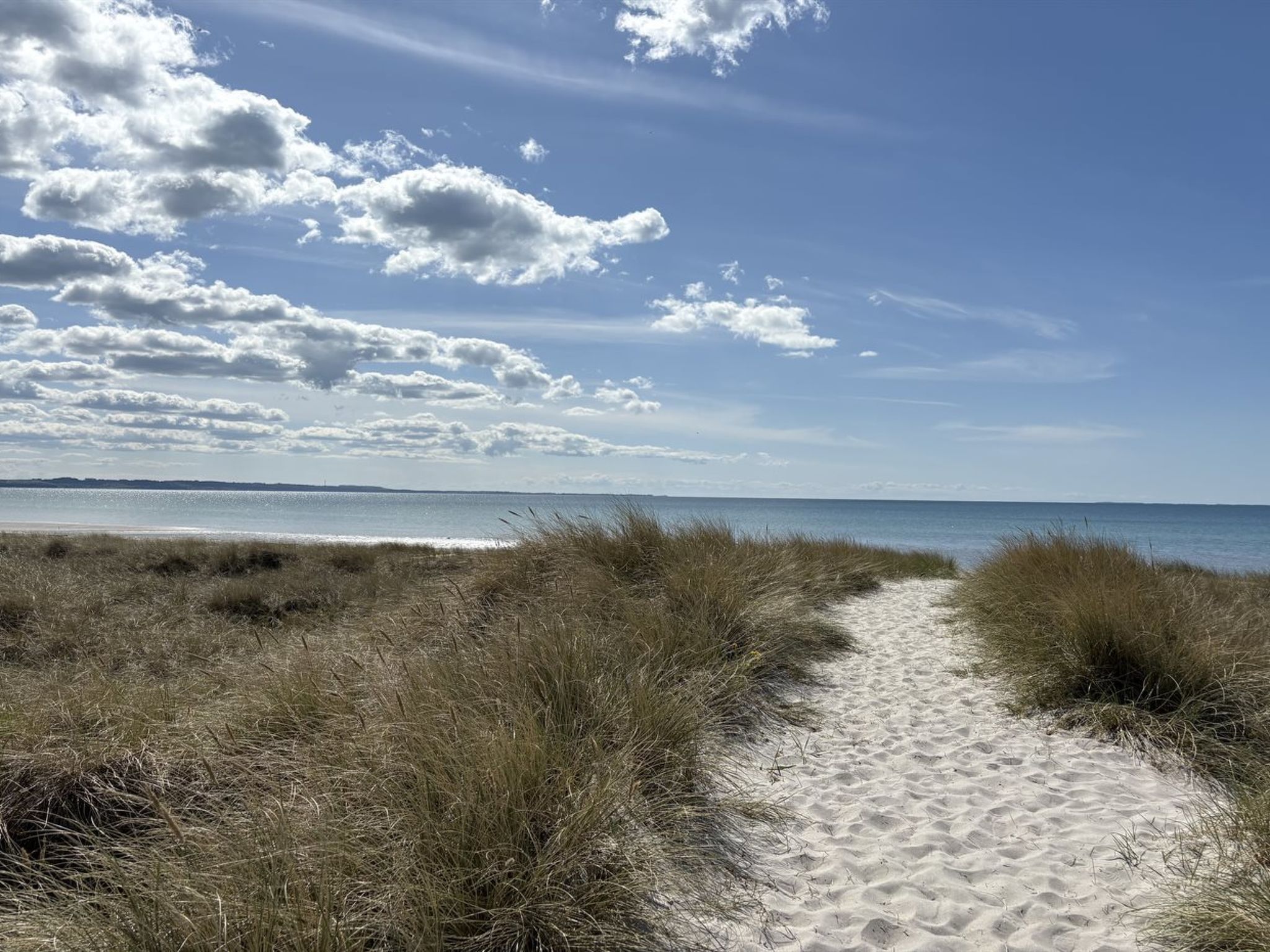 "Fridborg" - 425m from the sea - Buiten