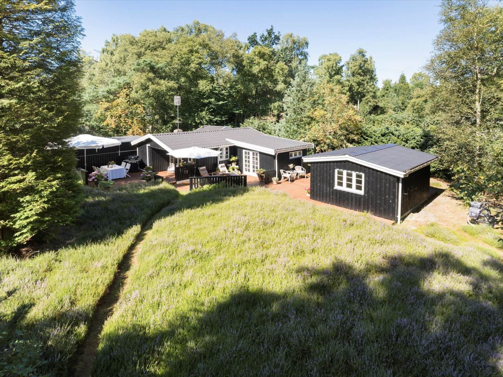 "Ami" - 850m from the sea