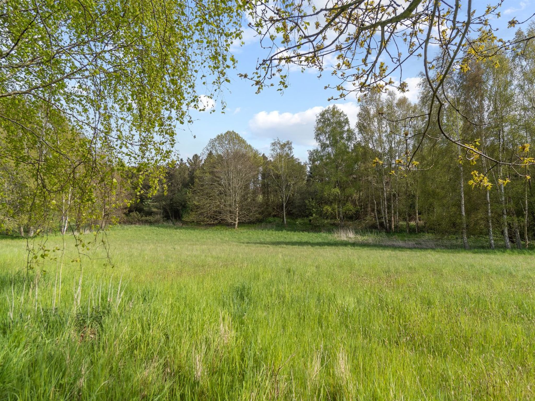 "Till" - 1.6km from the sea - Buiten