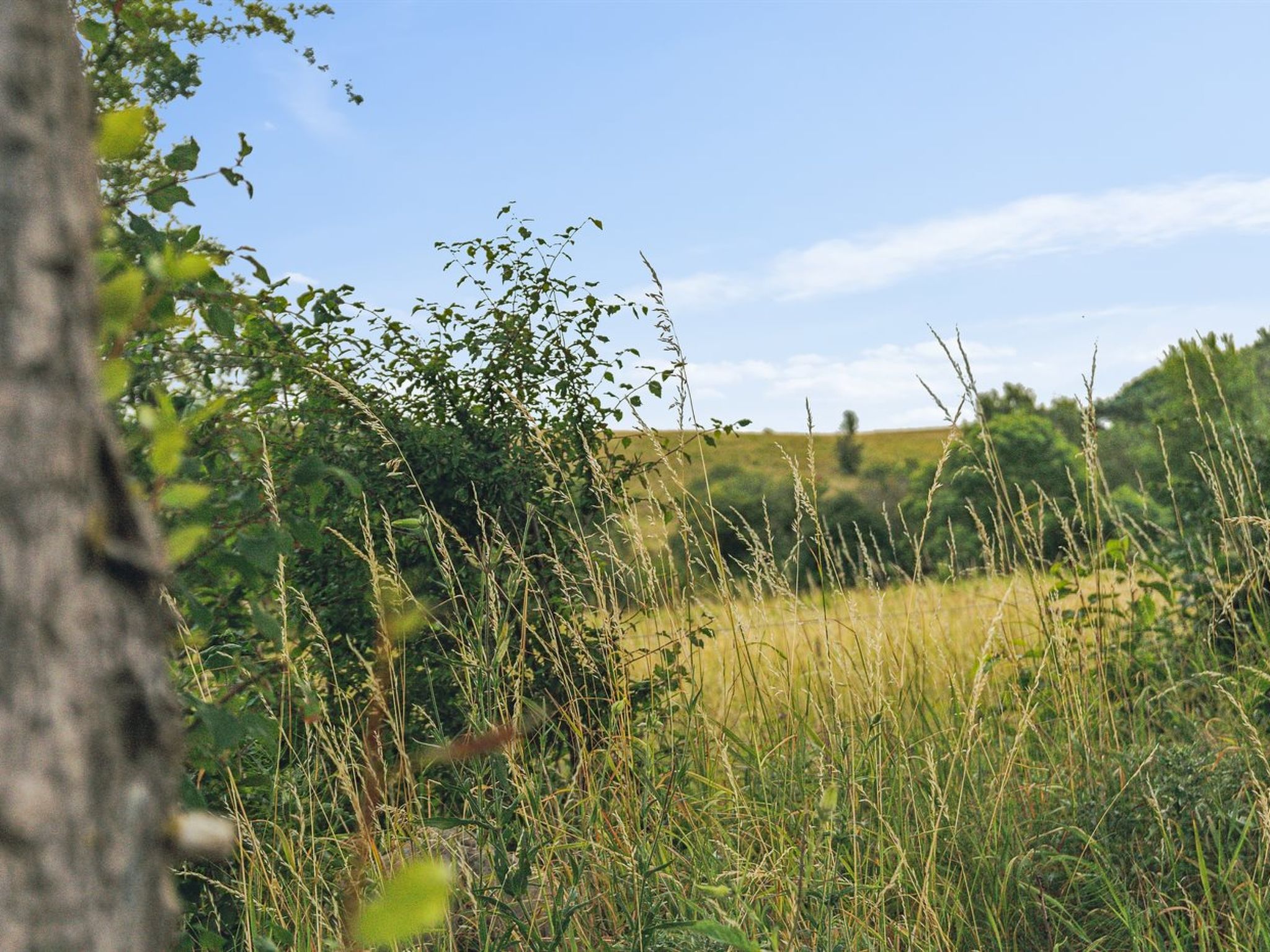 "Aurore" - 1.3km from the sea-Draußen