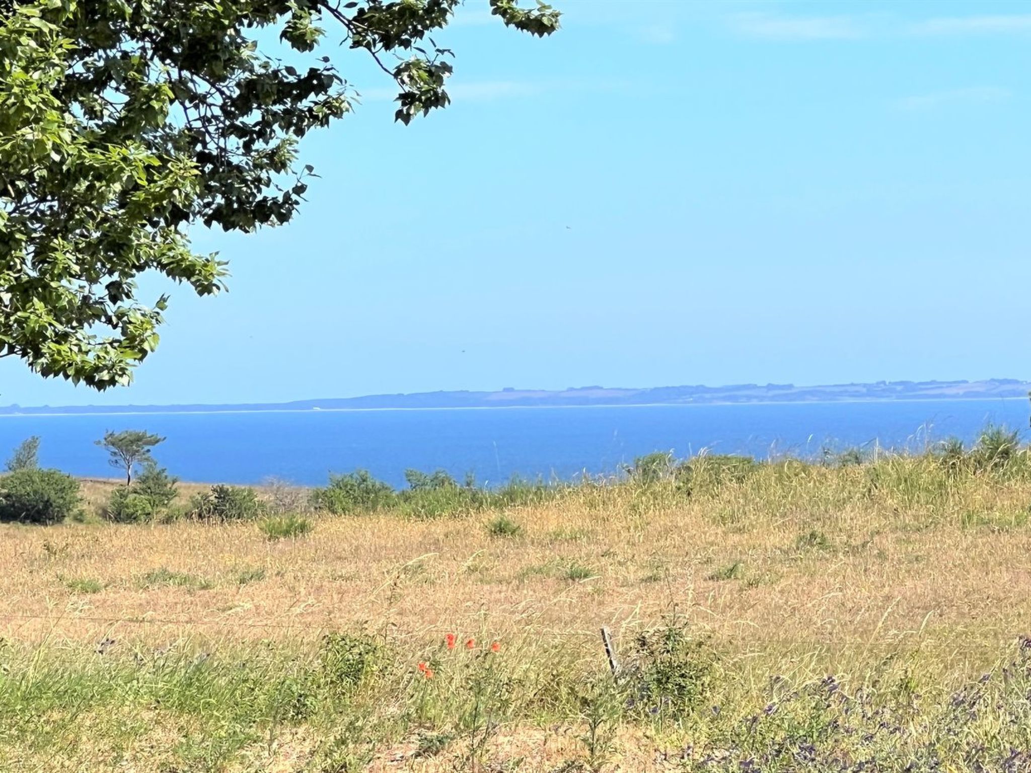 "Aurore" - 1.3km from the sea-Draußen