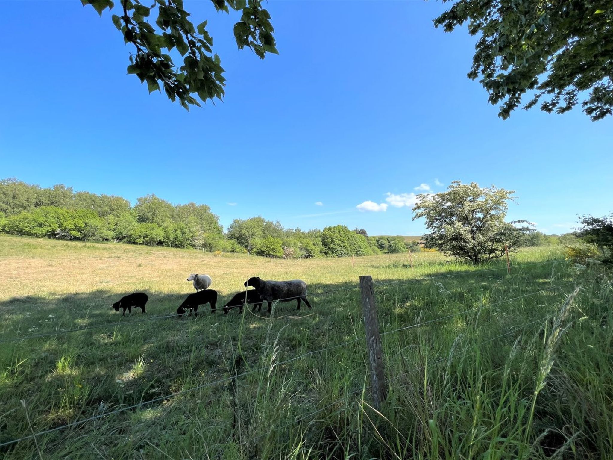 "Aurore" - 1.3km from the sea-Draußen