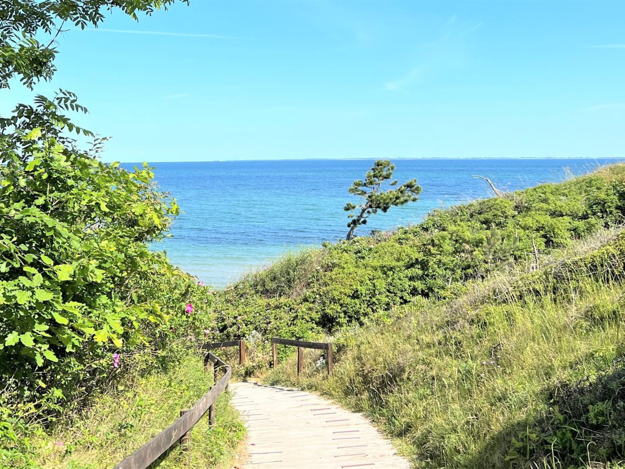 "Aurore" - 1.3km from the sea-Draußen