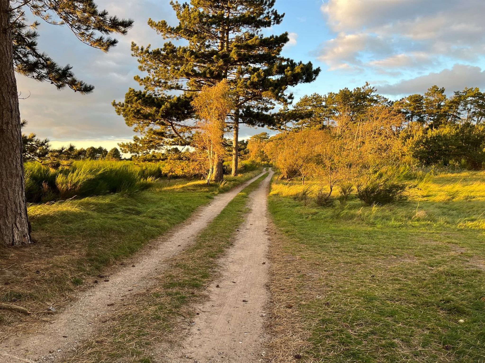 "Fietje" - 200m from the sea - Draußen
