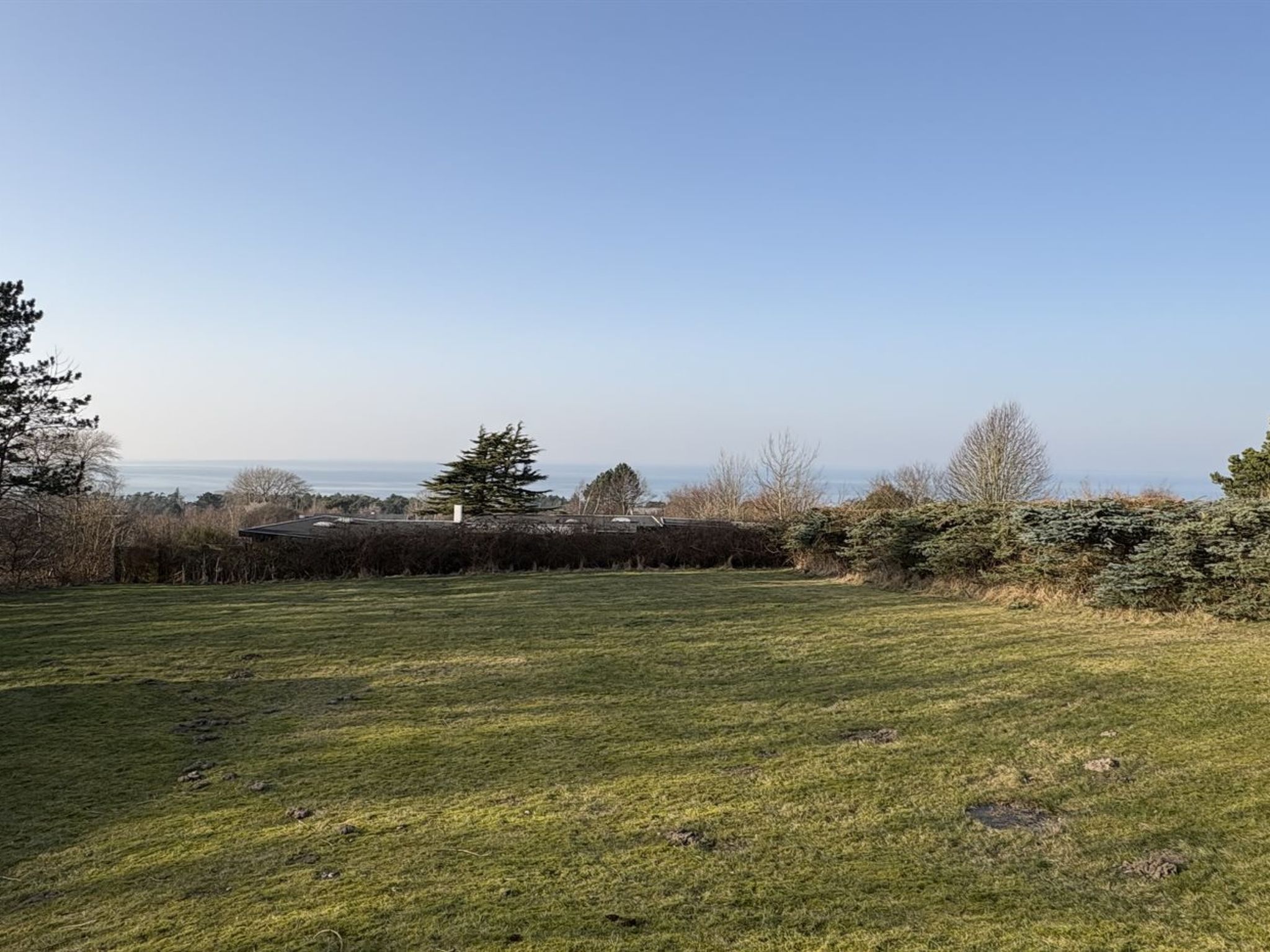 Photo of "Heike" - 650m from the sea