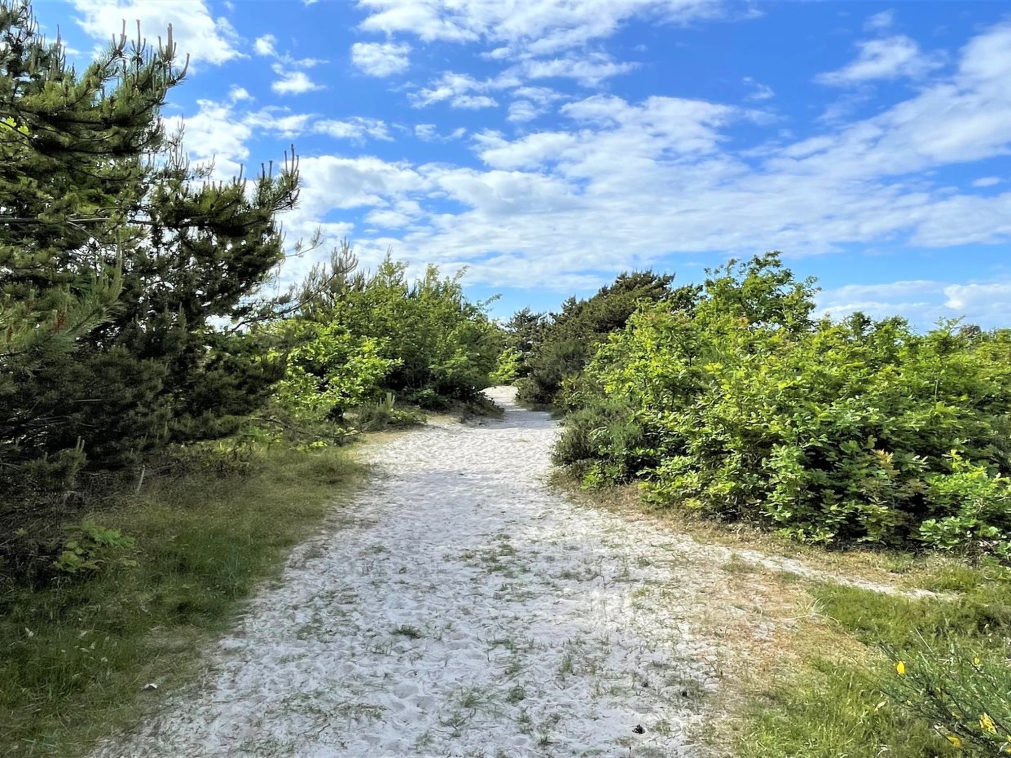 "Efka" - 175m from the sea - Buiten