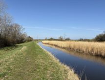 Nieuw vakantiehuis Hotherus nabij zee in Asnæs, Zeeland - thumbnail 4