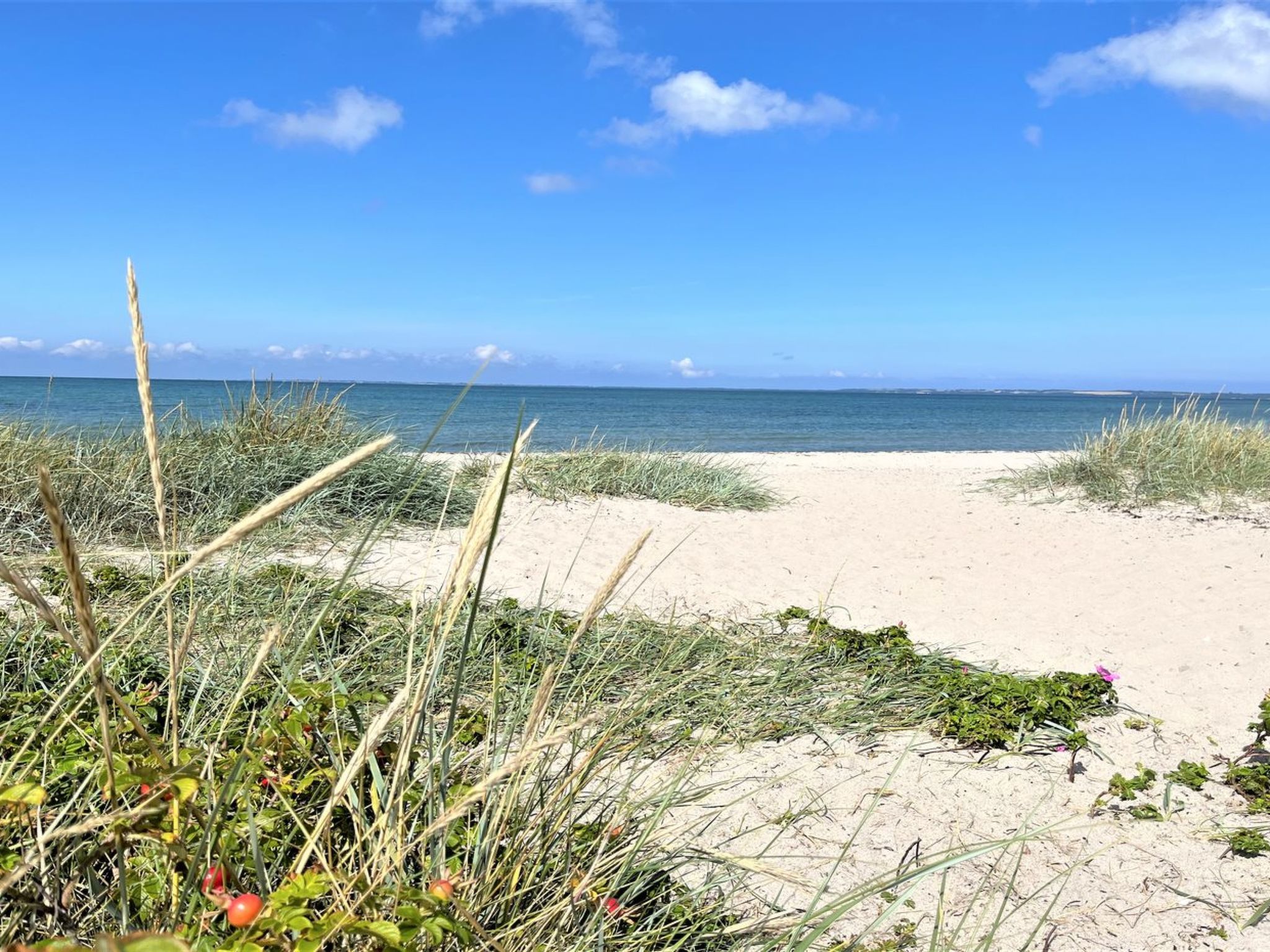 "Thorvor" - 900m from the sea