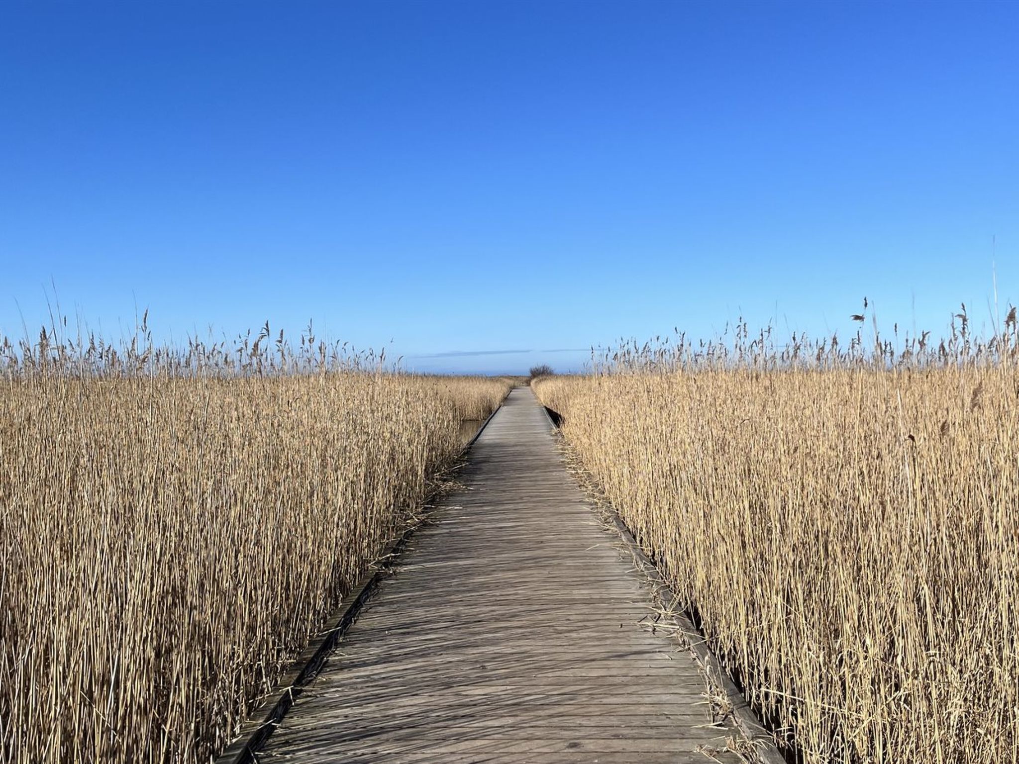 "Ela" - 800m from the sea - Buiten