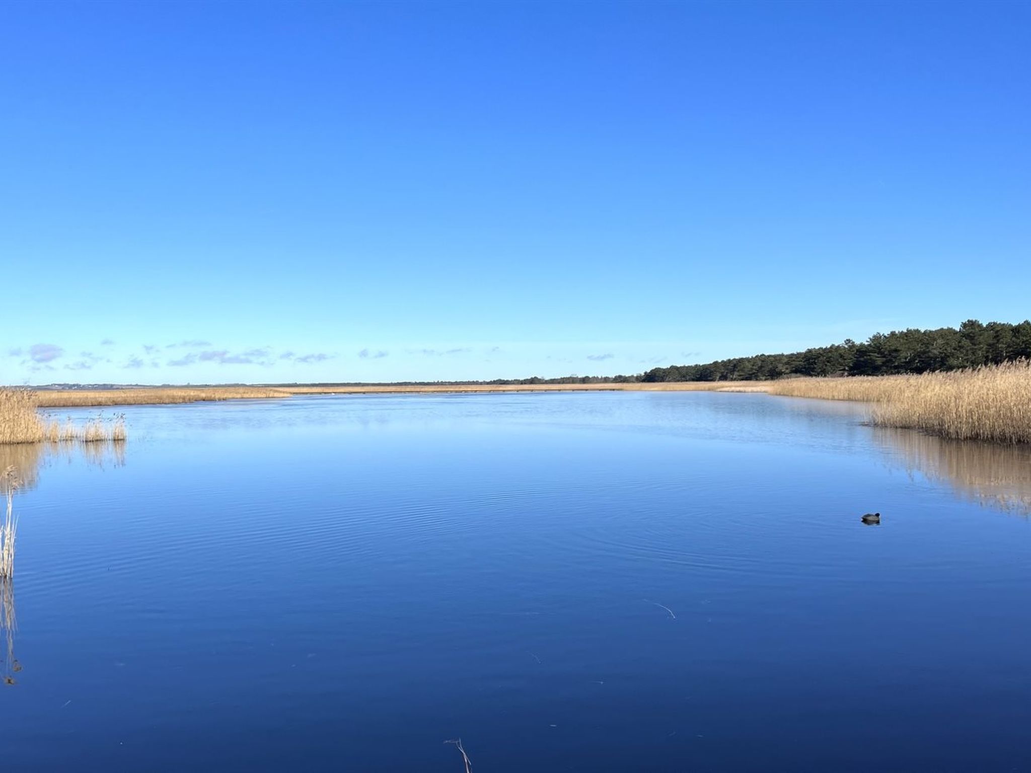 "Ela" - 800m from the sea - Buiten