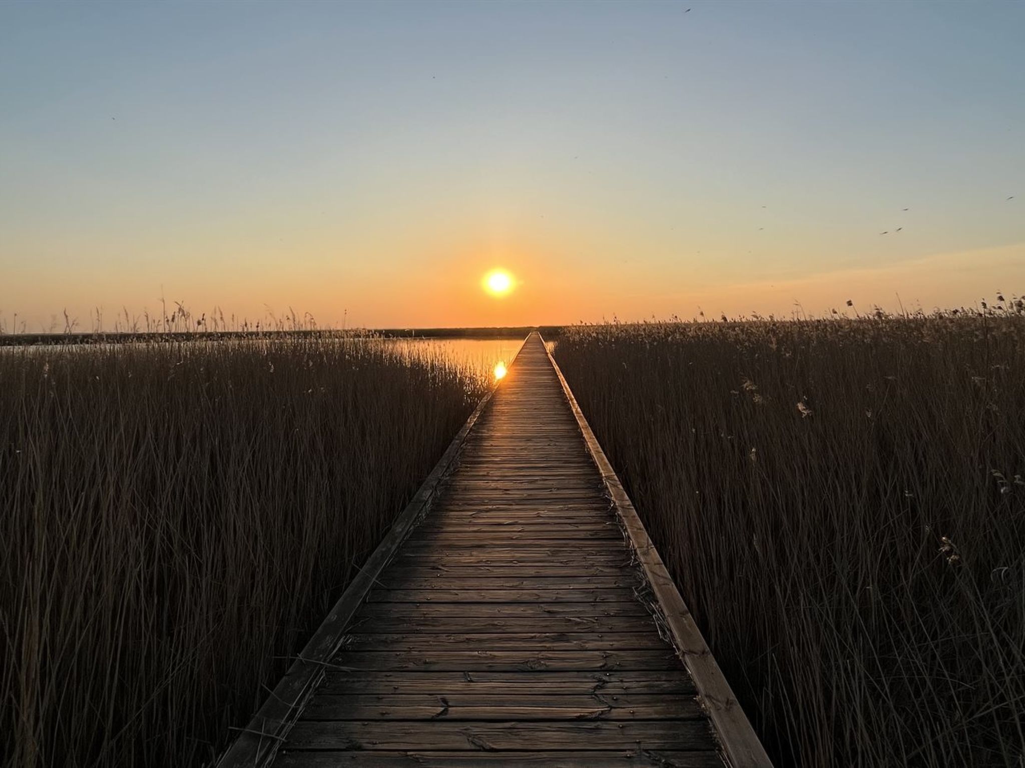 "Ela" - 800m from the sea - Buiten