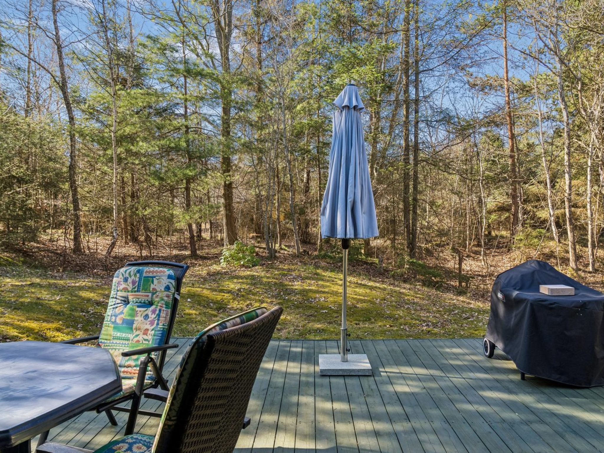 "Elfrede" - 900m from the sea