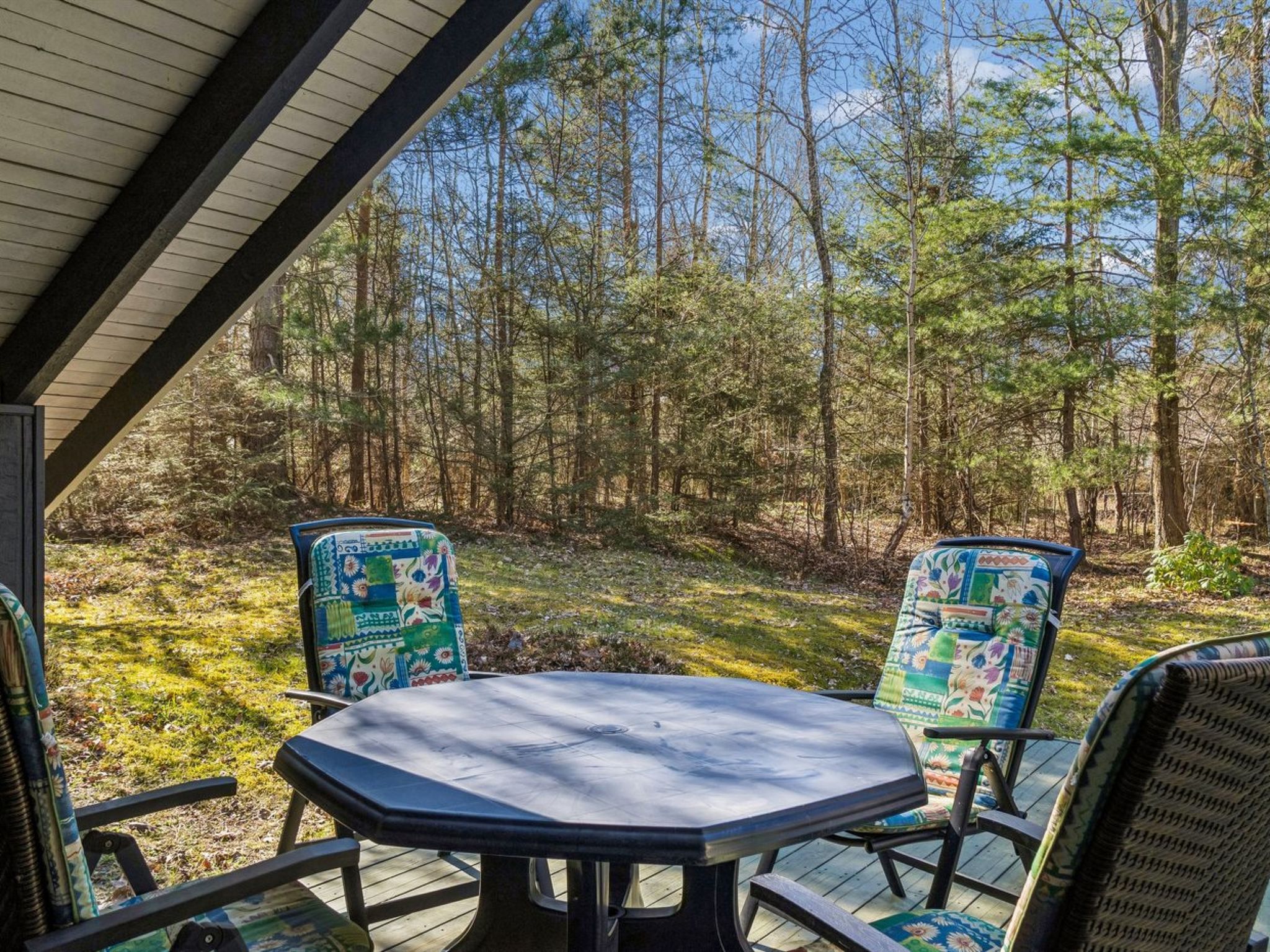 "Elfrede" - 900m from the sea