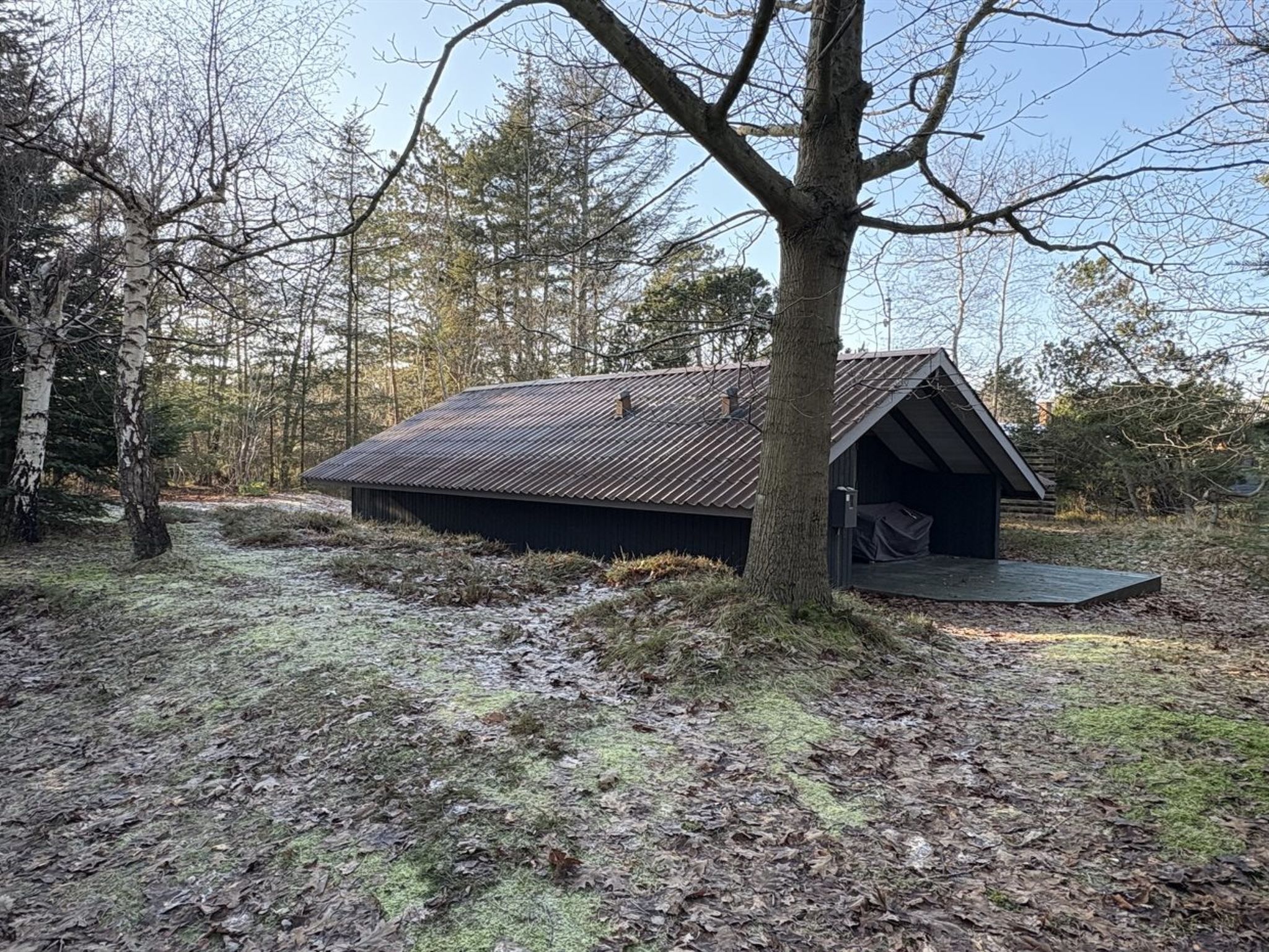 "Elfrede" - 900m from the sea-Draußen