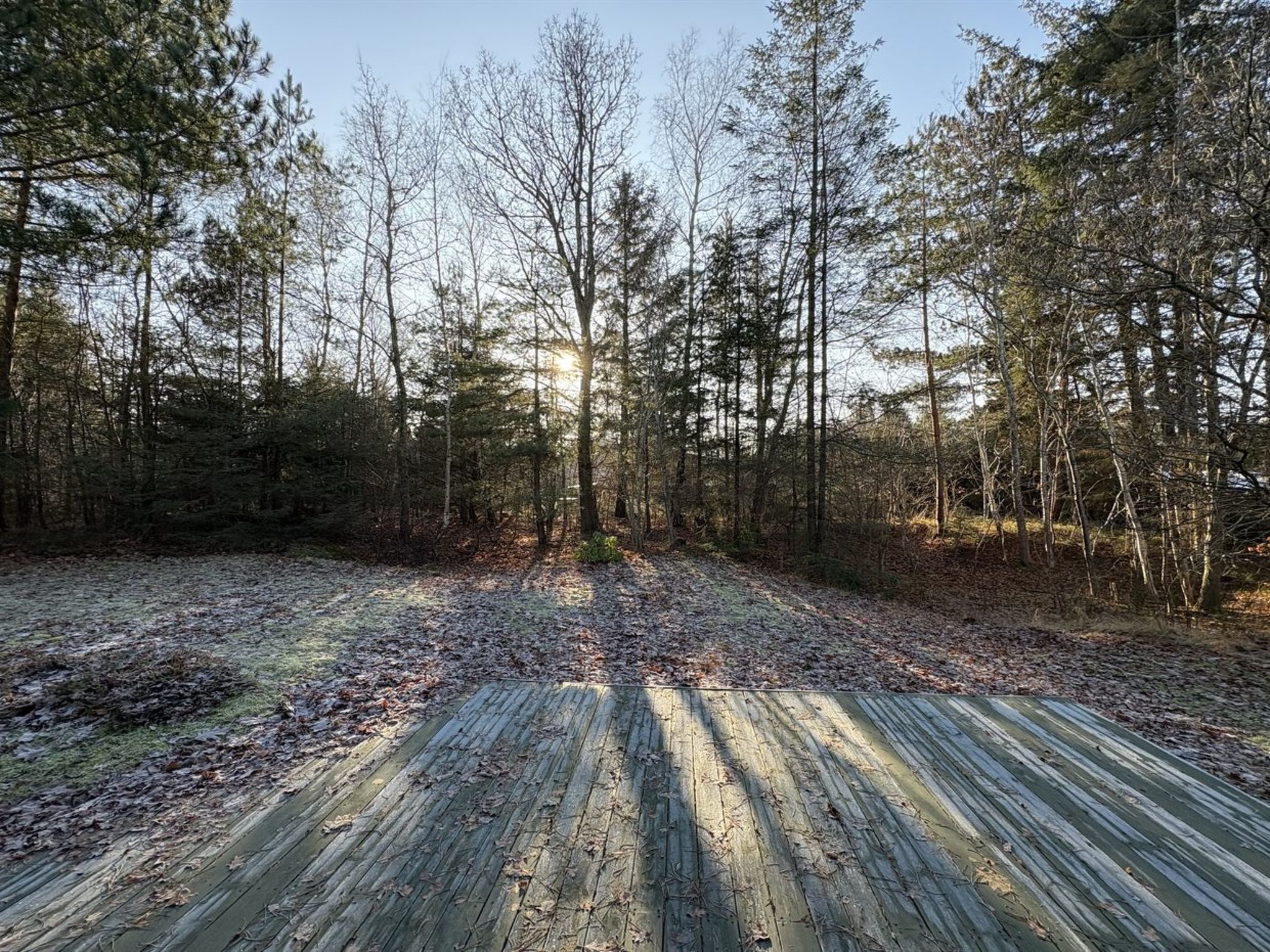 "Elfrede" - 900m from the sea-Draußen