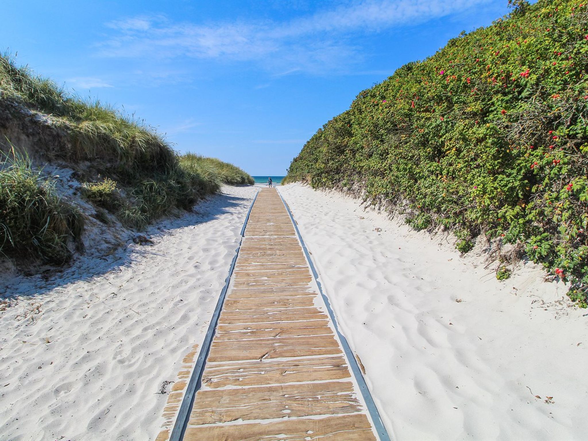 "Wilgrib" - 400m from the sea - Draußen