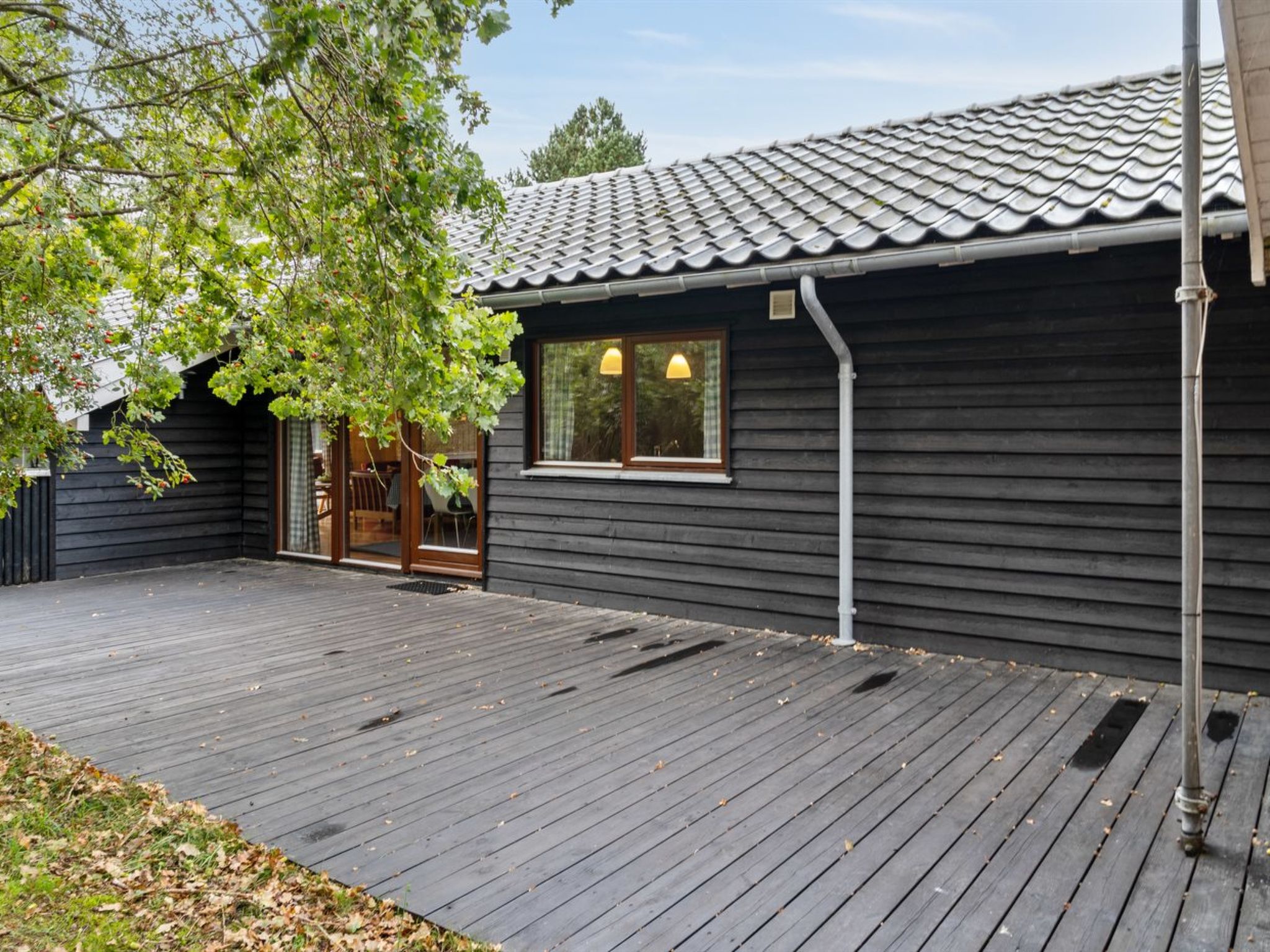 "Wilgrib" - 400m from the sea - Draußen