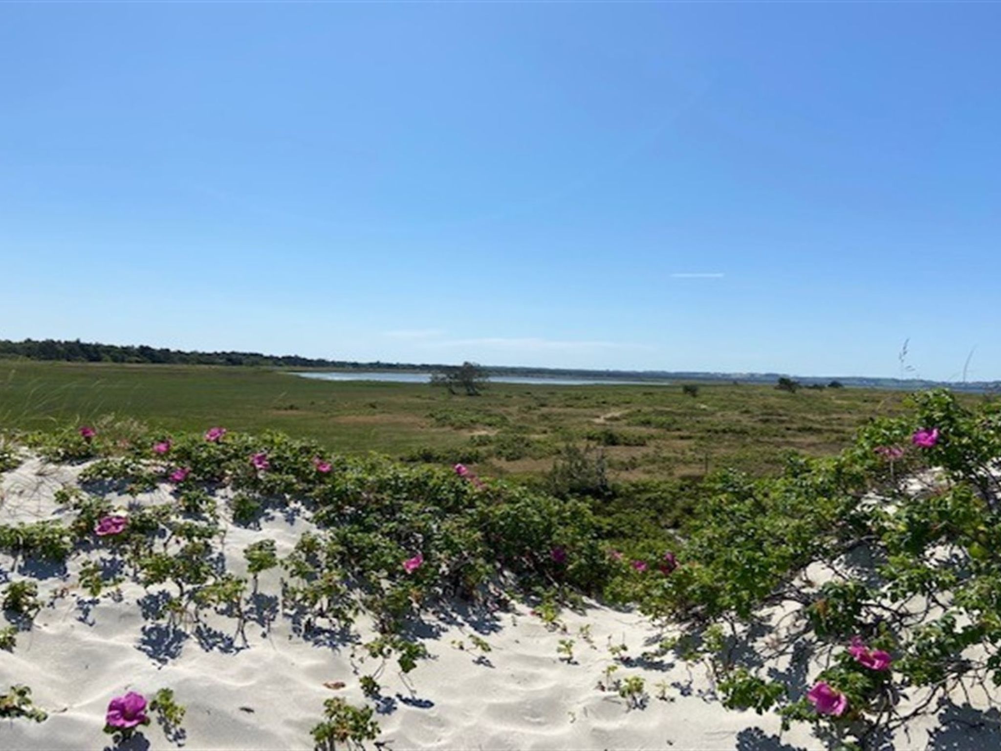 "Tinja" - 900m from the sea - Draußen