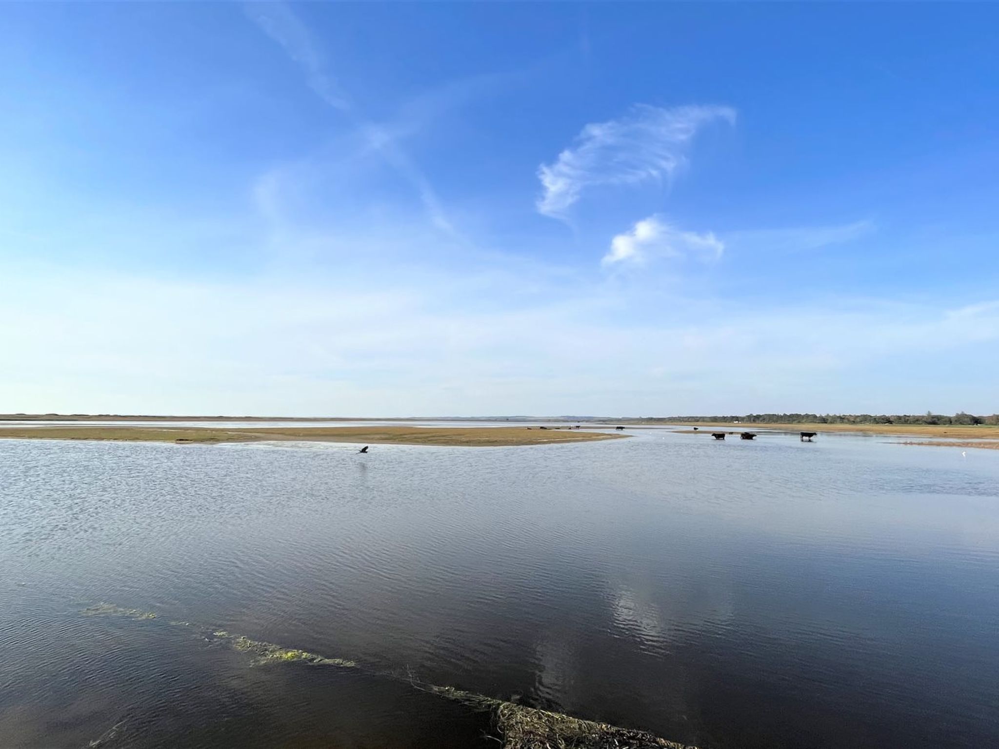 "Mella" - 625m from the sea - Buiten