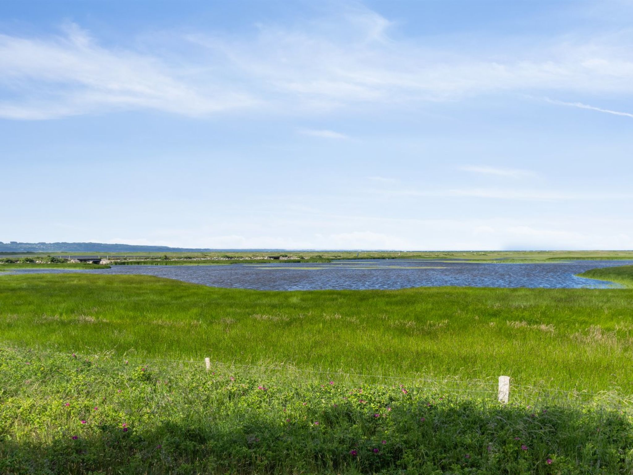 "Felis" - 575m from the sea-Buiten