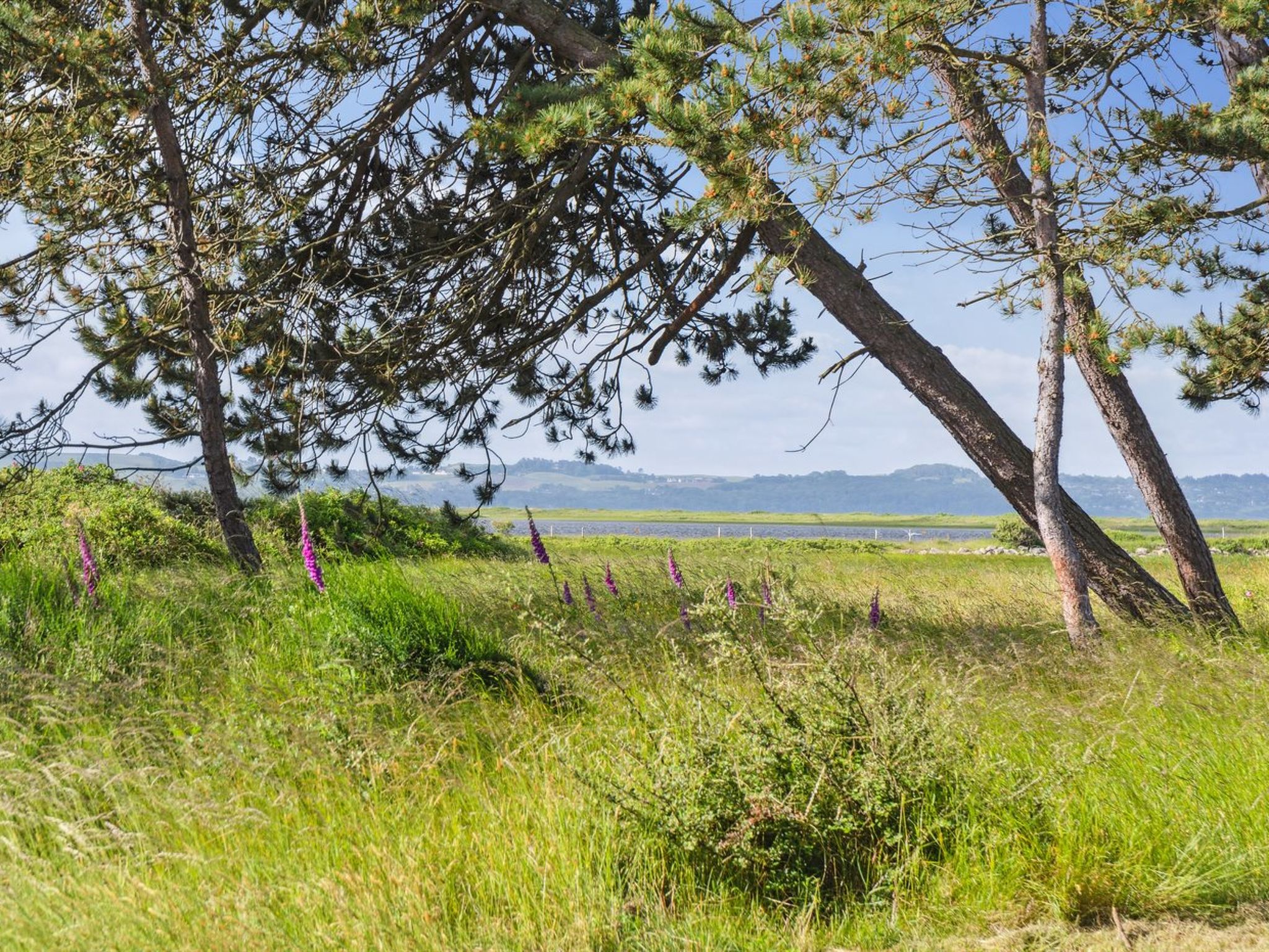 "Felis" - 575m from the sea - Buiten