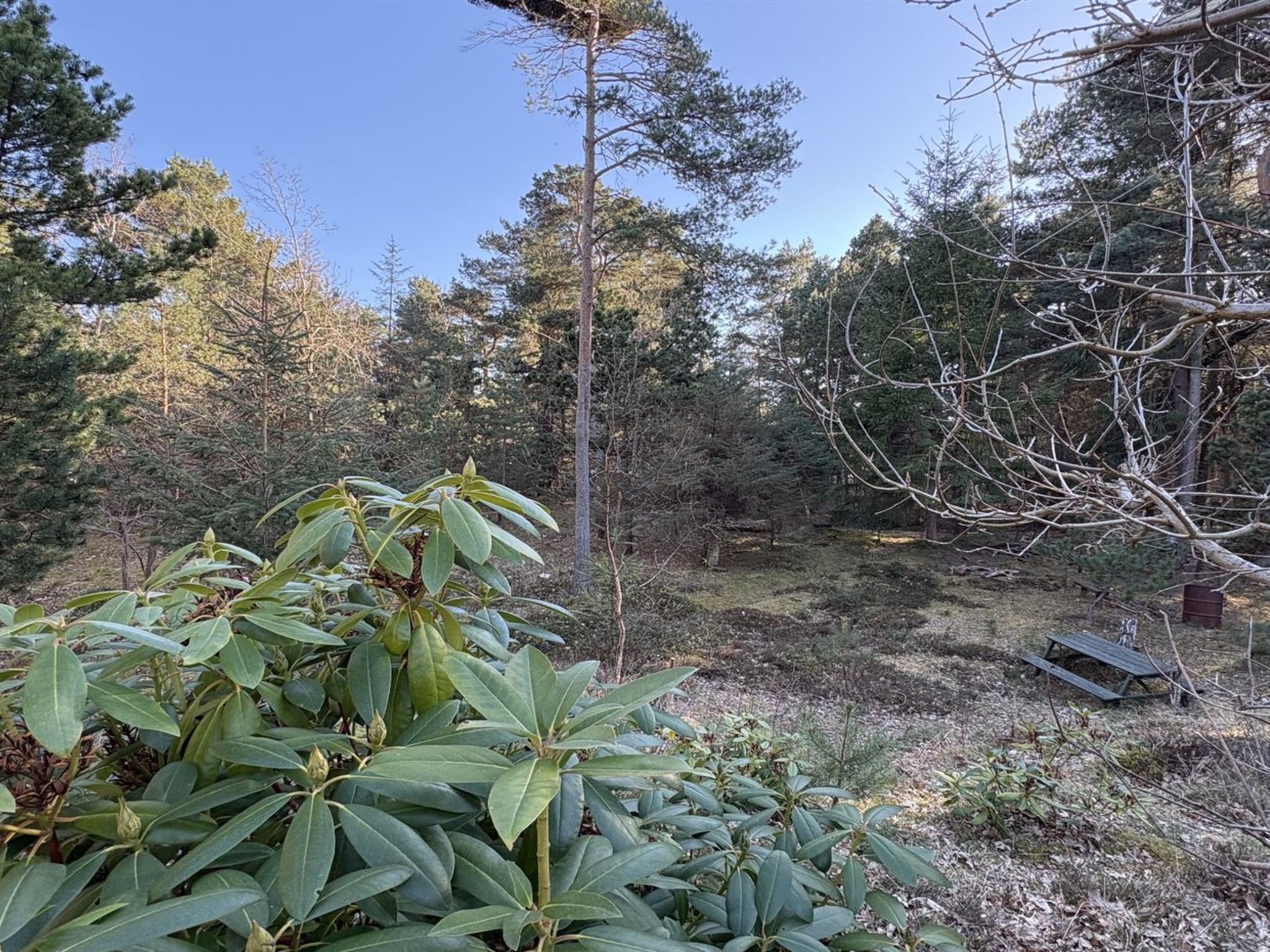 "Pertti" - 625m from the sea - Buiten