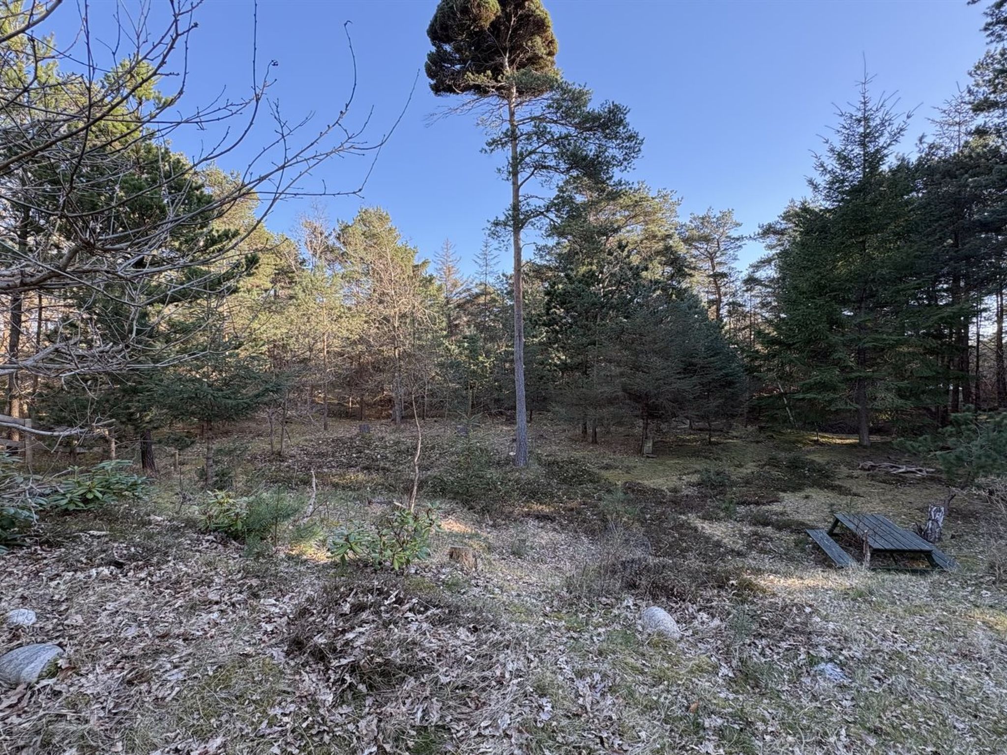 "Pertti" - 625m from the sea - Buiten