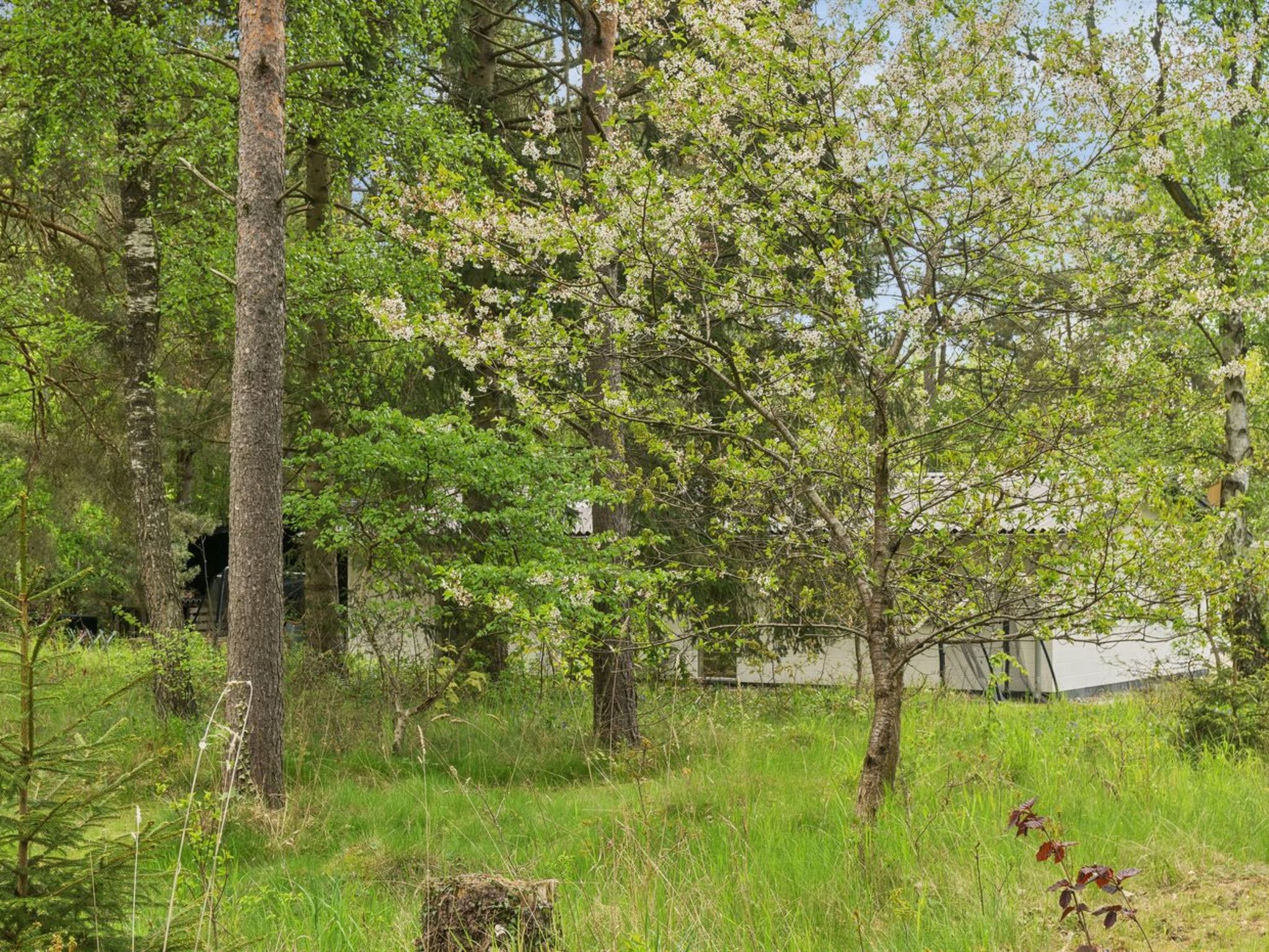 "Aiko" - 1.8km from the sea - Outside
