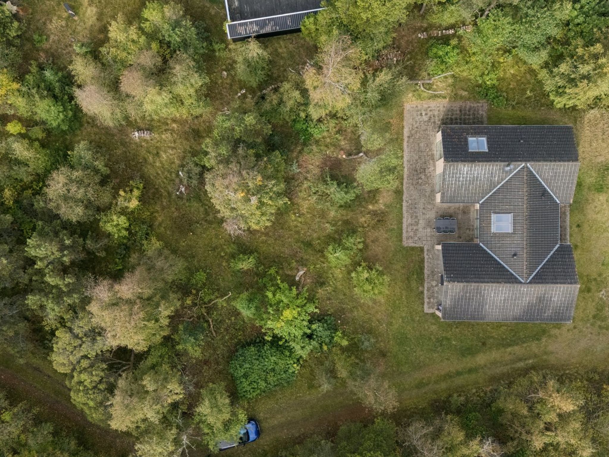 "Evtim" - 275m from the sea - Dehors