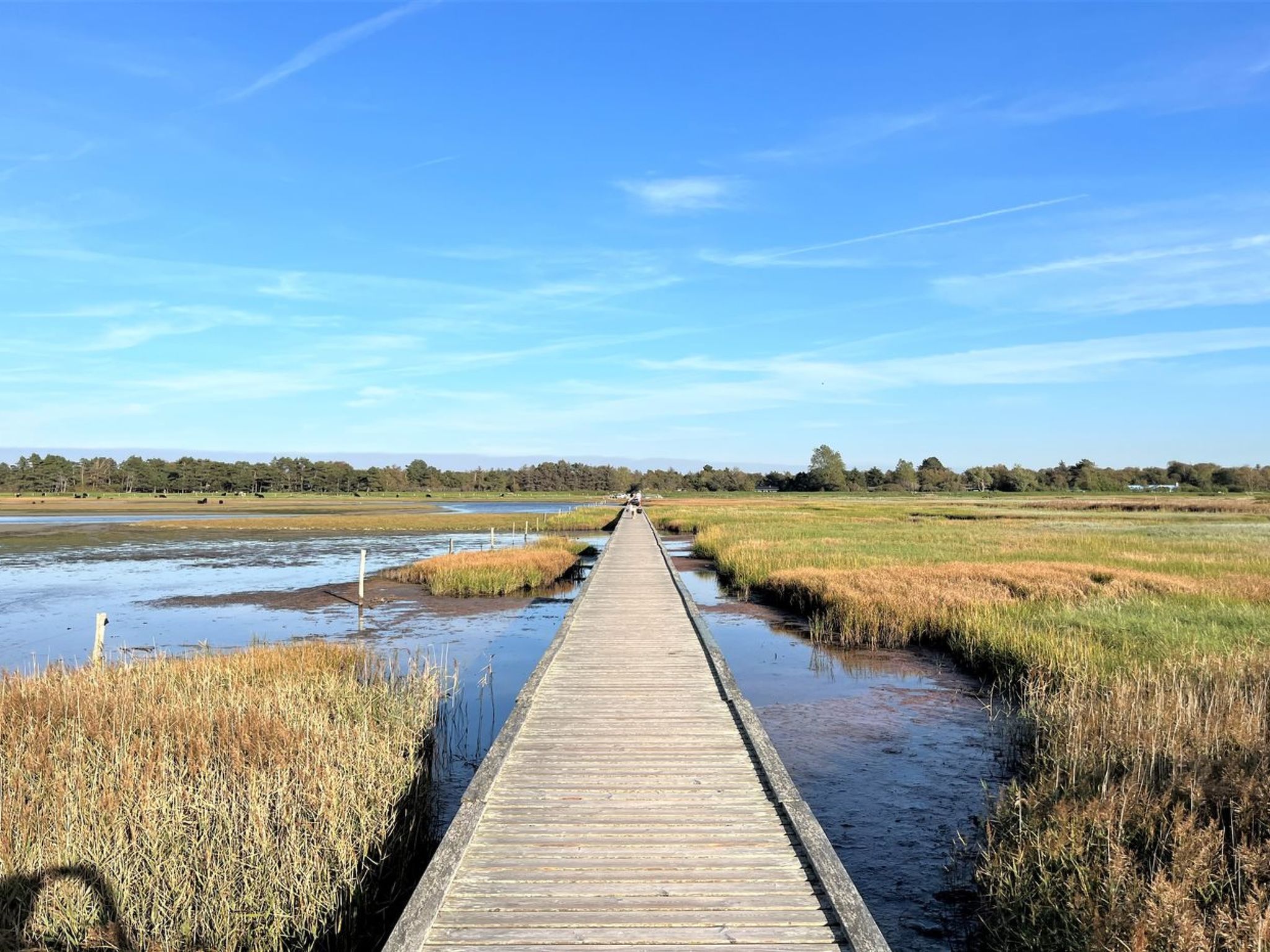 "Brynja" - 2.5km from the sea - Buiten