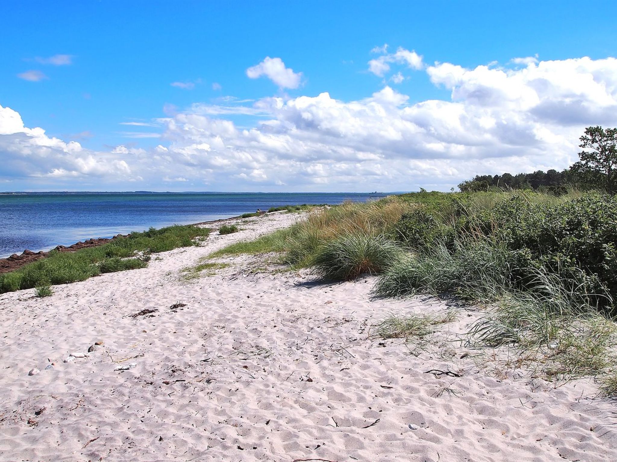 "Liselotte" - 275m from the sea - Buiten