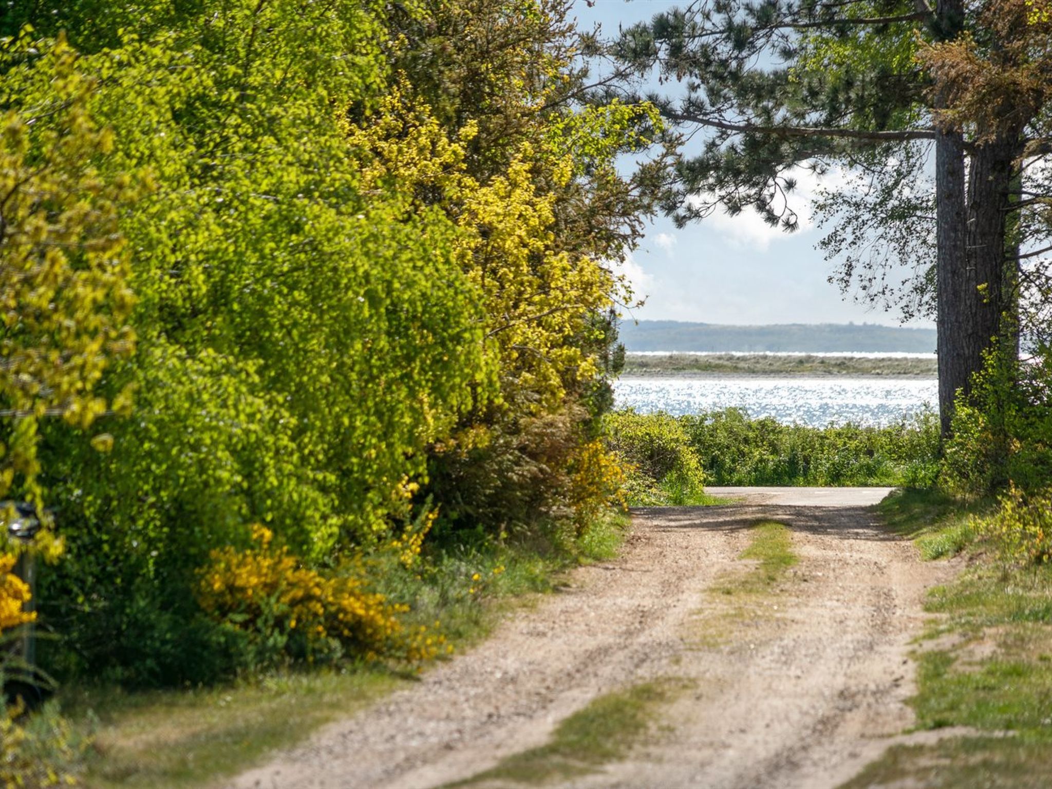 "Rikkie" - 150m to the fjord - Buiten