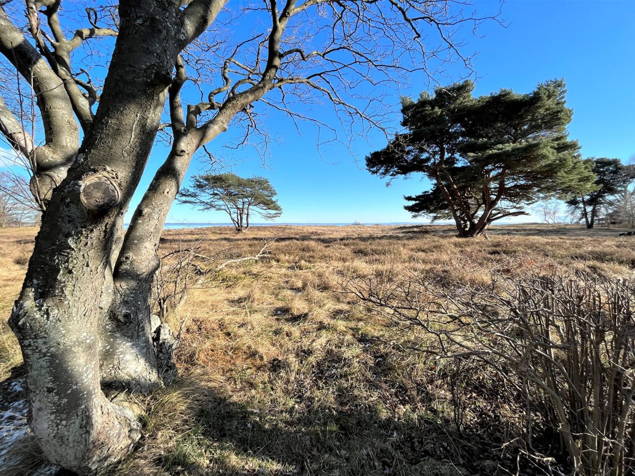 "Toska" - 100m to the fjord - Buiten