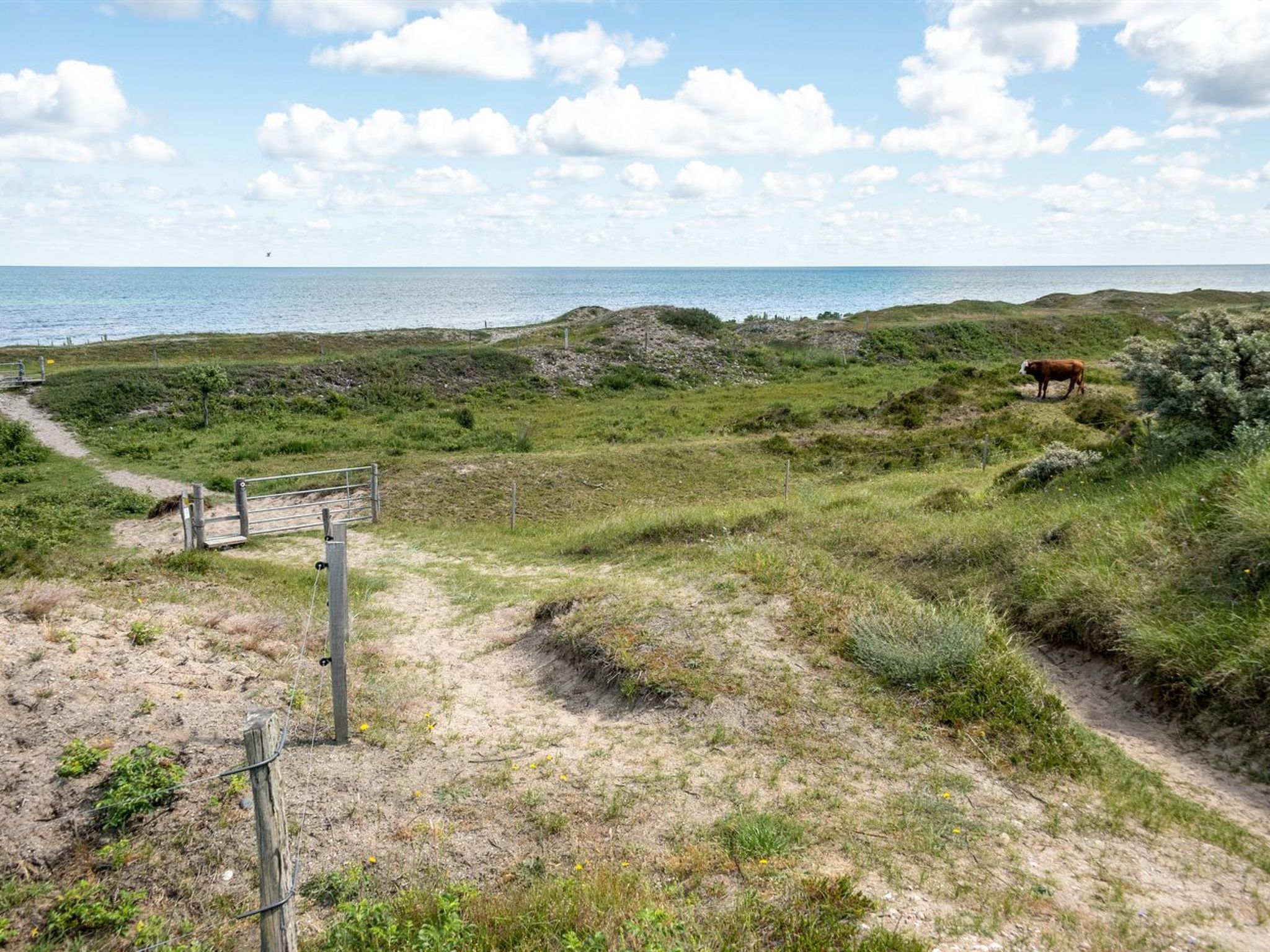 "Lisbeth" - 400m from the sea - Buiten