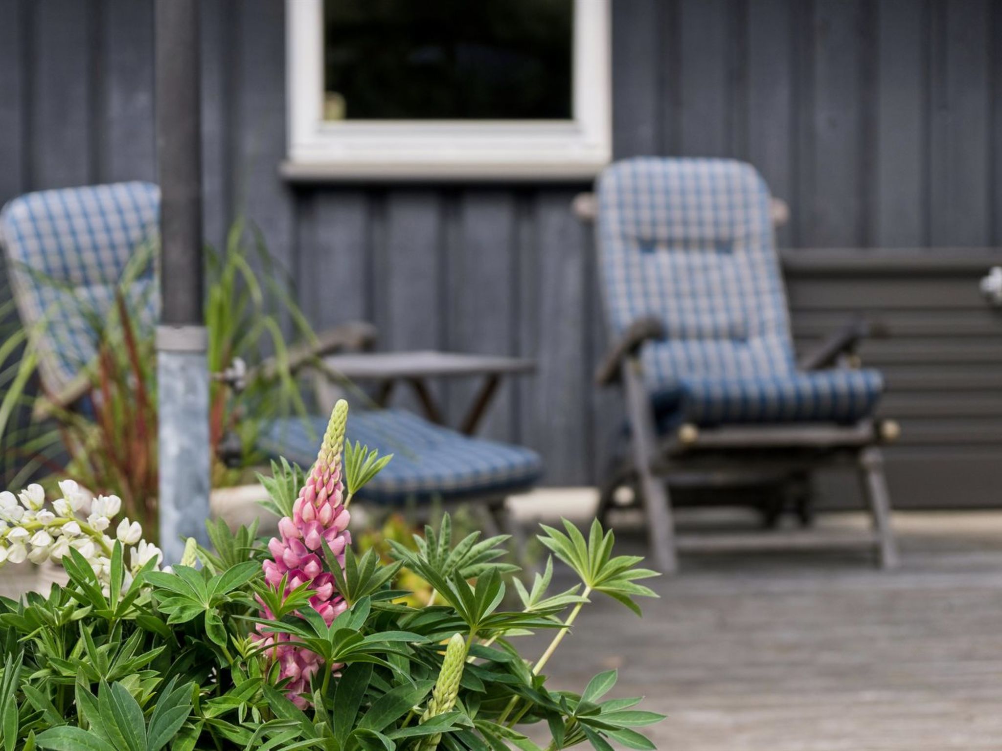 "Tyyne" - 250m from the sea - Buiten