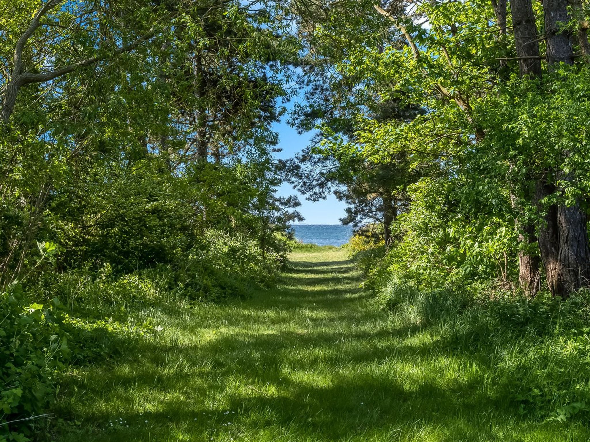 "Waltraud" - 50m from the sea-Outside