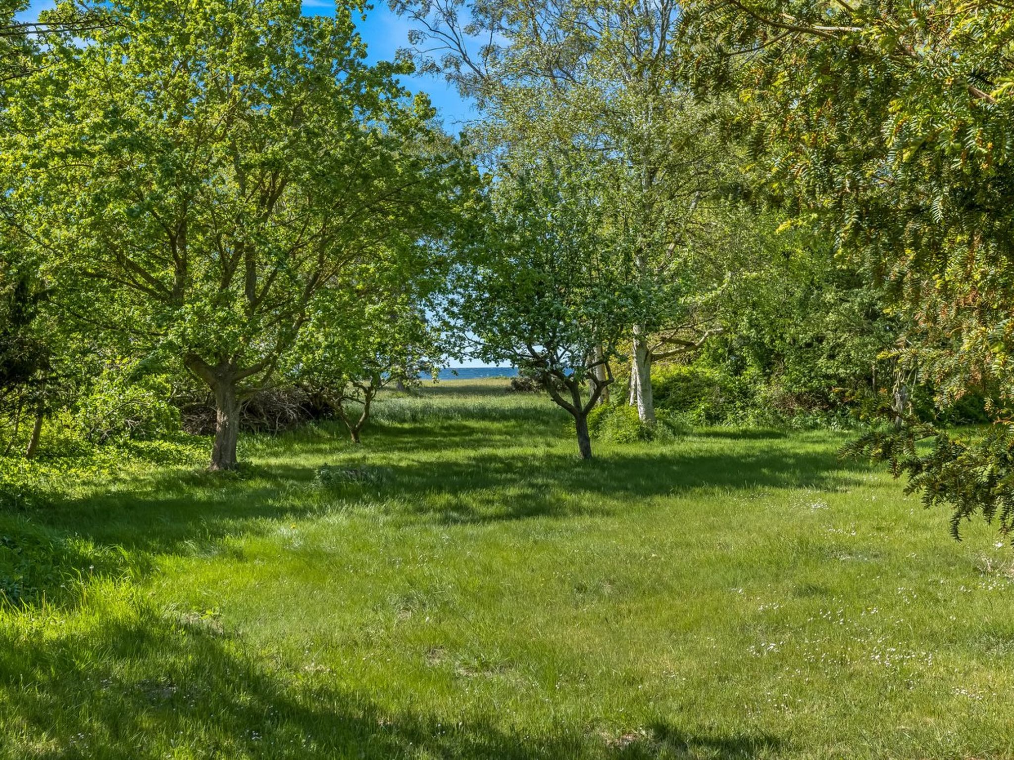 "Waltraud" - 50m from the sea-Buiten