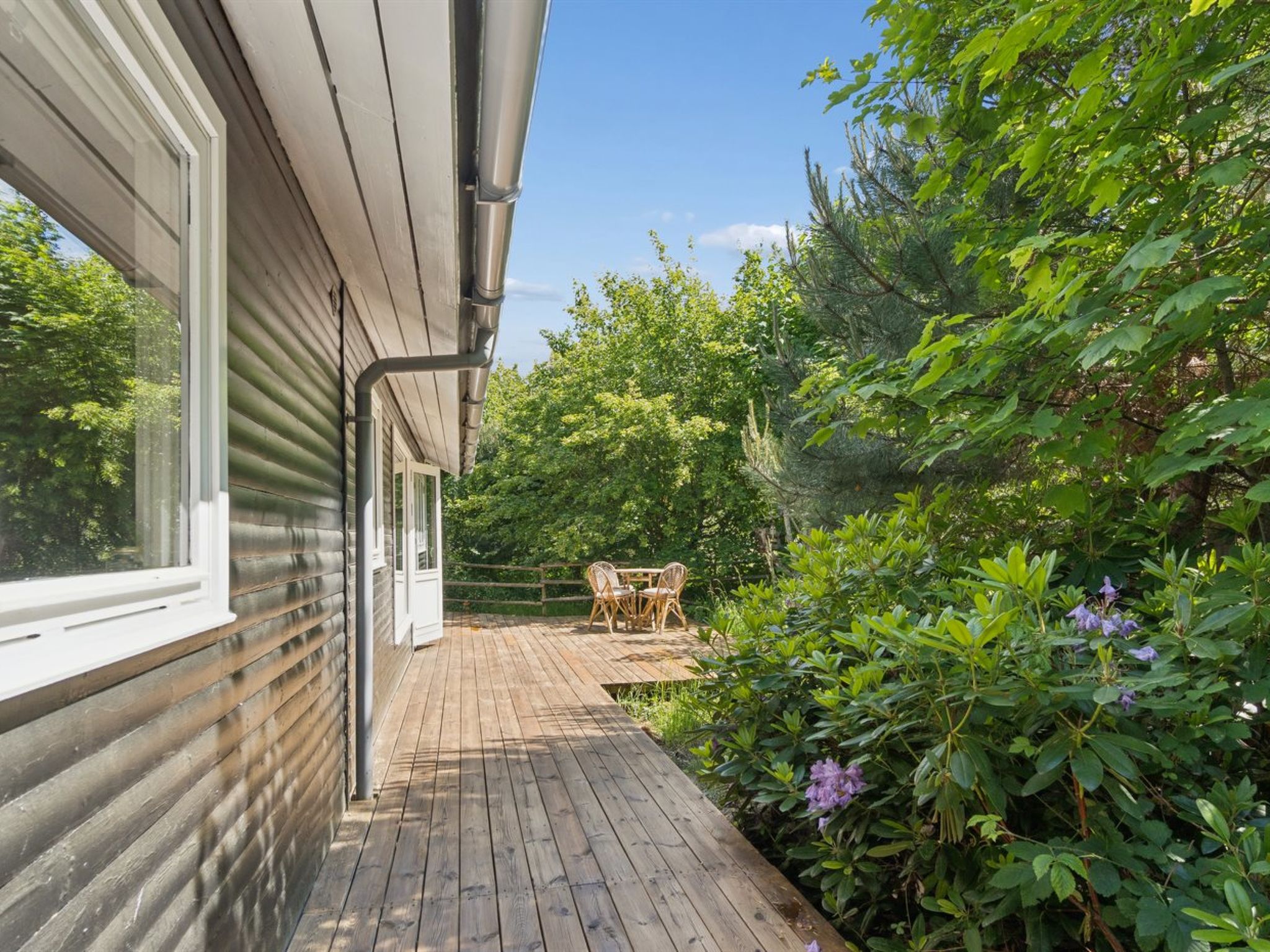 "Elisej" - 350m from the sea - Dehors