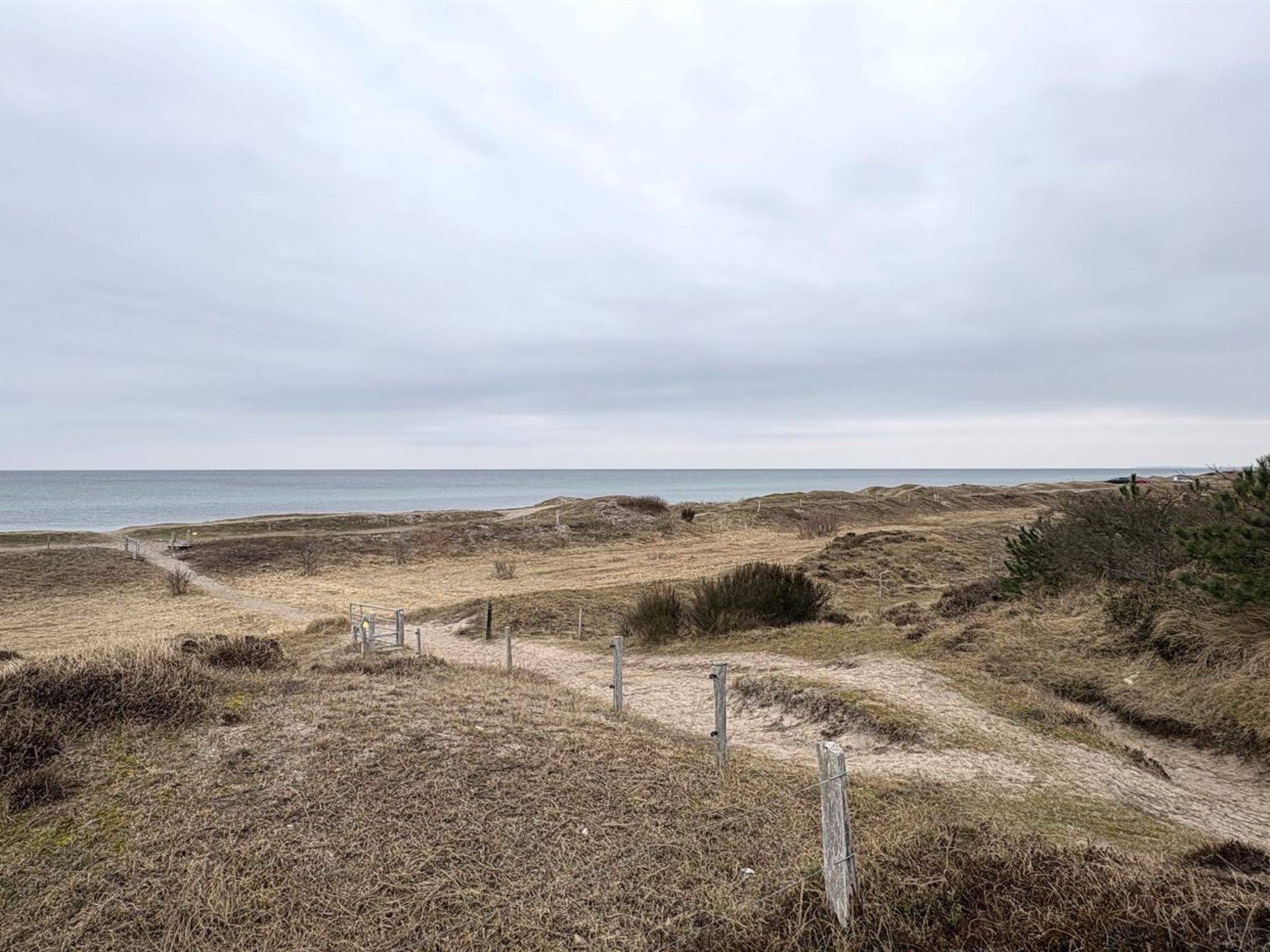 "Elisej" - 350m from the sea - Buiten