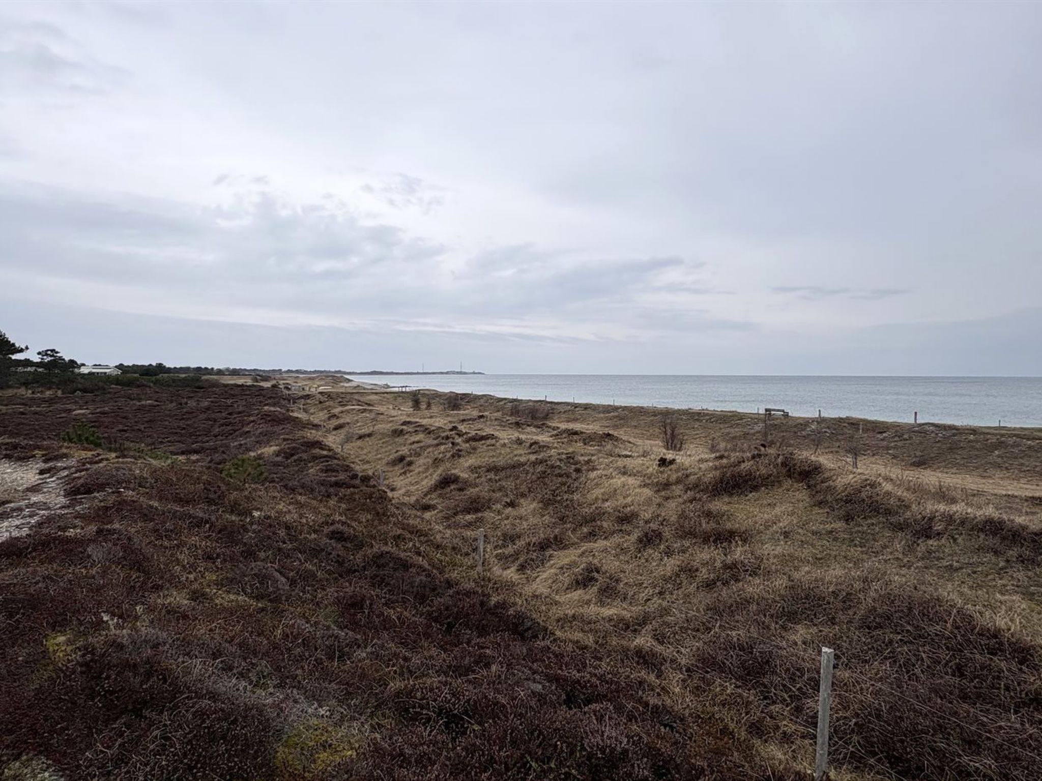 "Elisej" - 350m from the sea - Buiten