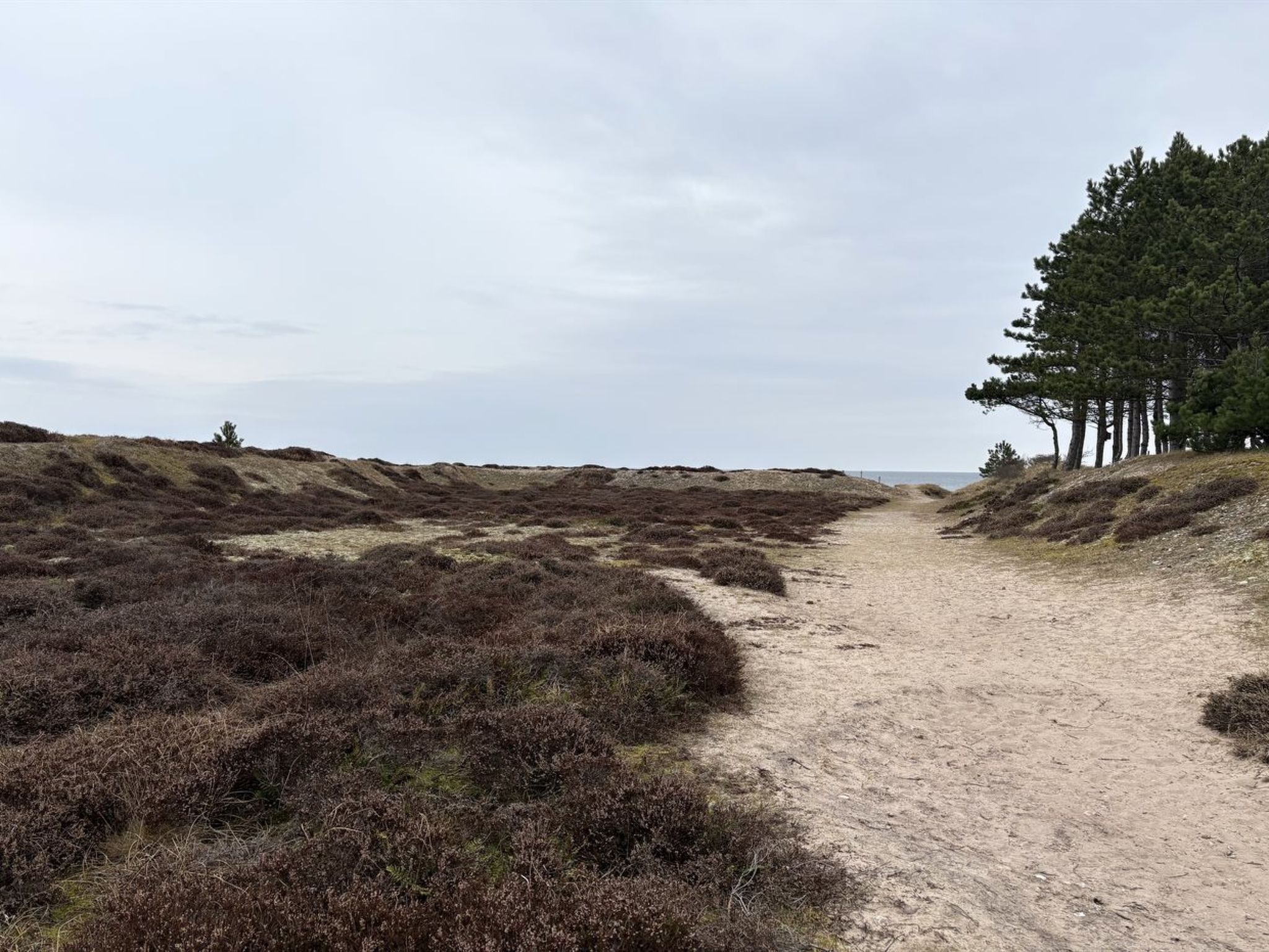 "Elisej" - 350m from the sea - Buiten